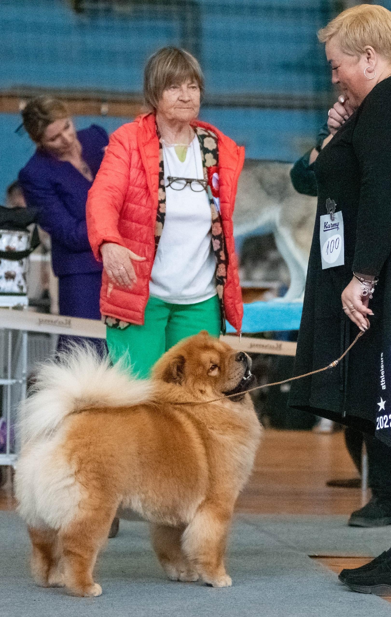 Клото Сантия Ли Мей 