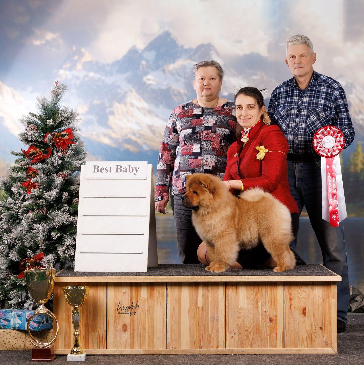 25.10.2025 Hip-Hop Djalo 