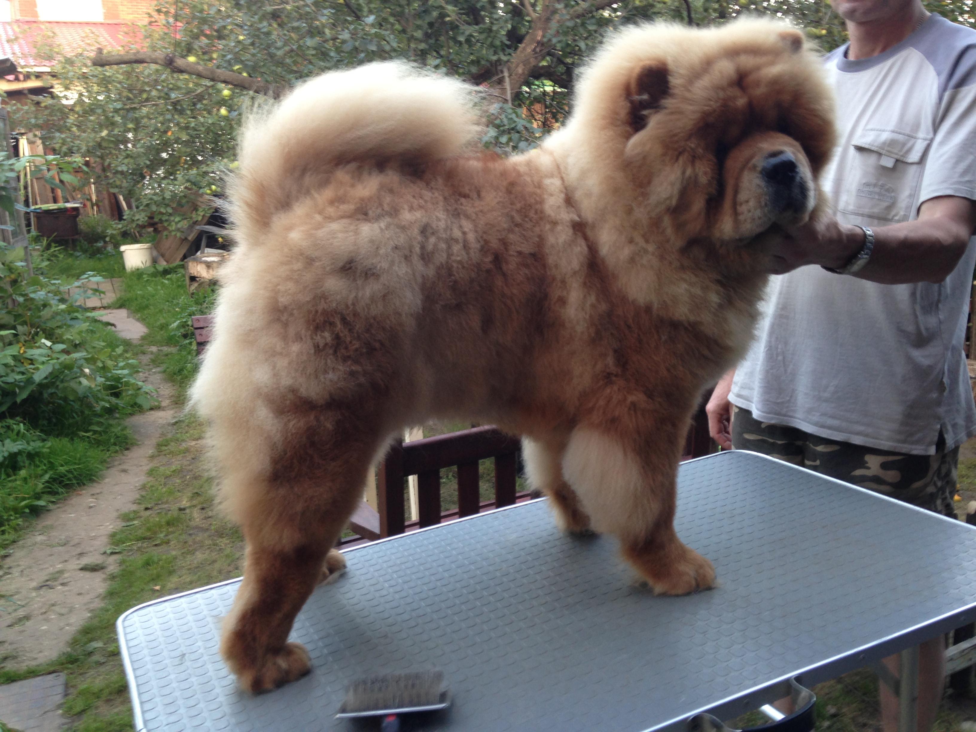 Сеня 9 месяцев