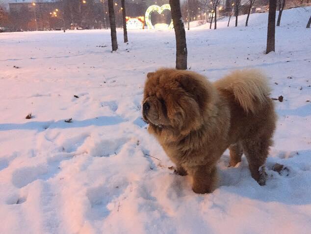 Клото Сани Анджонг