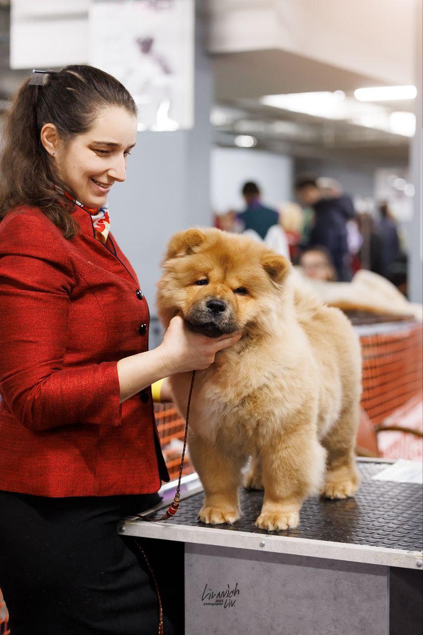 25.10.2025 Hip-Hop Djalo 