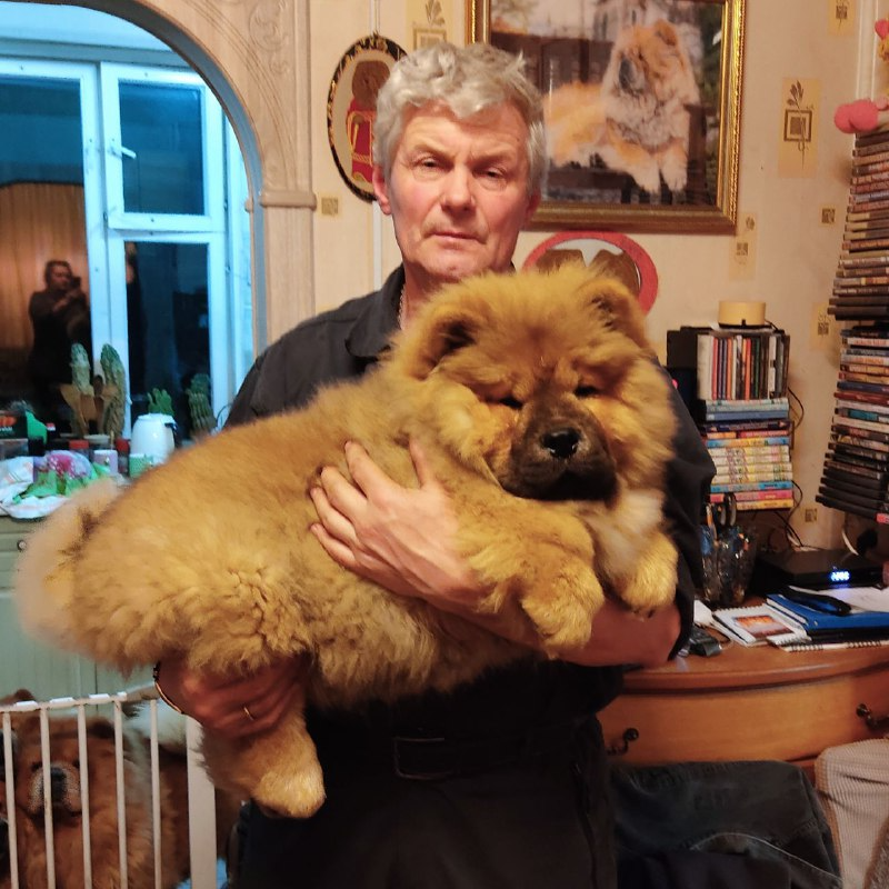 Осенний  Поцелуй Файер Сталкер (Сеня) - 1,5 месяца