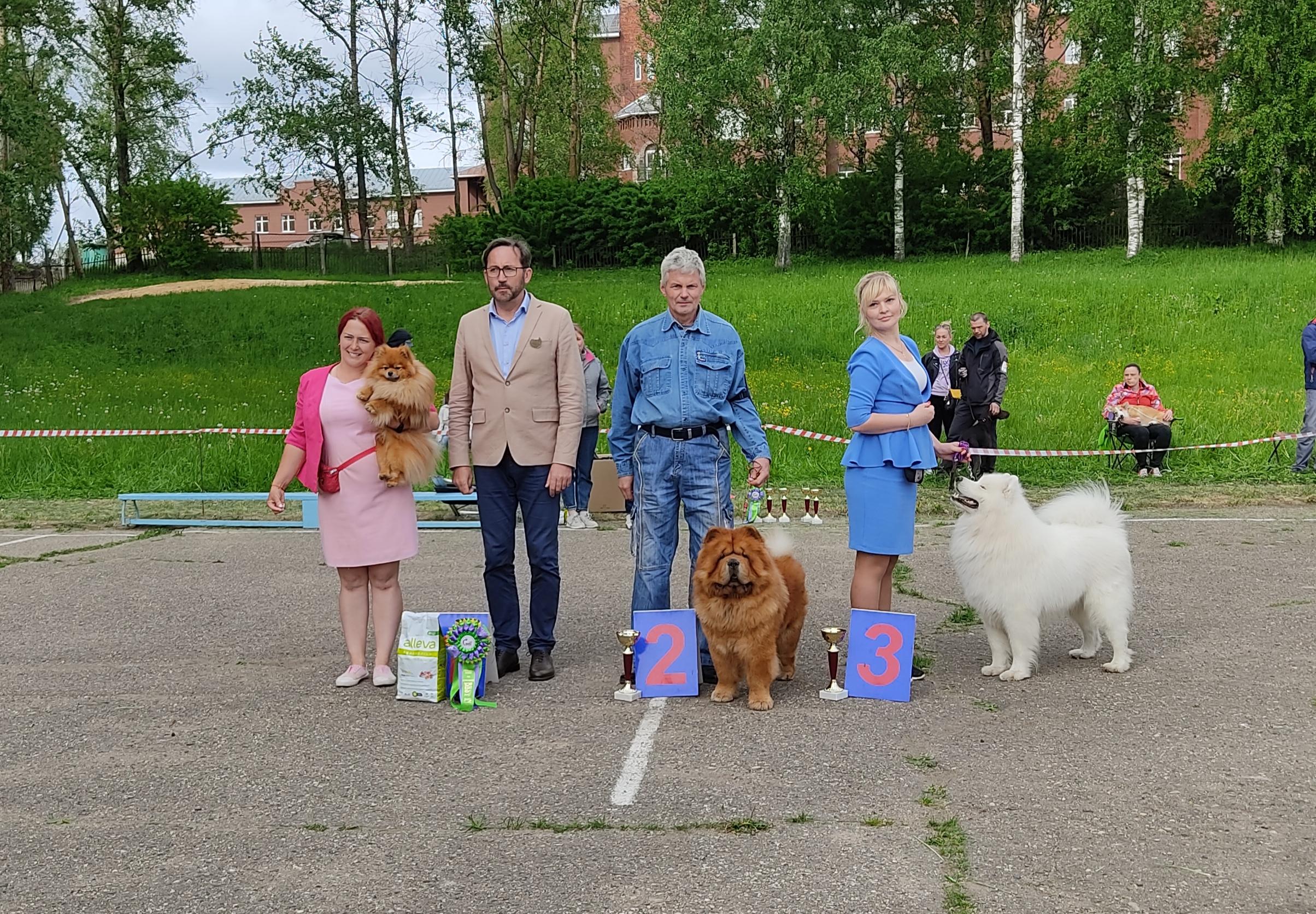 Сеня - 2,5 года - Евразия-2015 - 21.03.2015г. - отл. 3