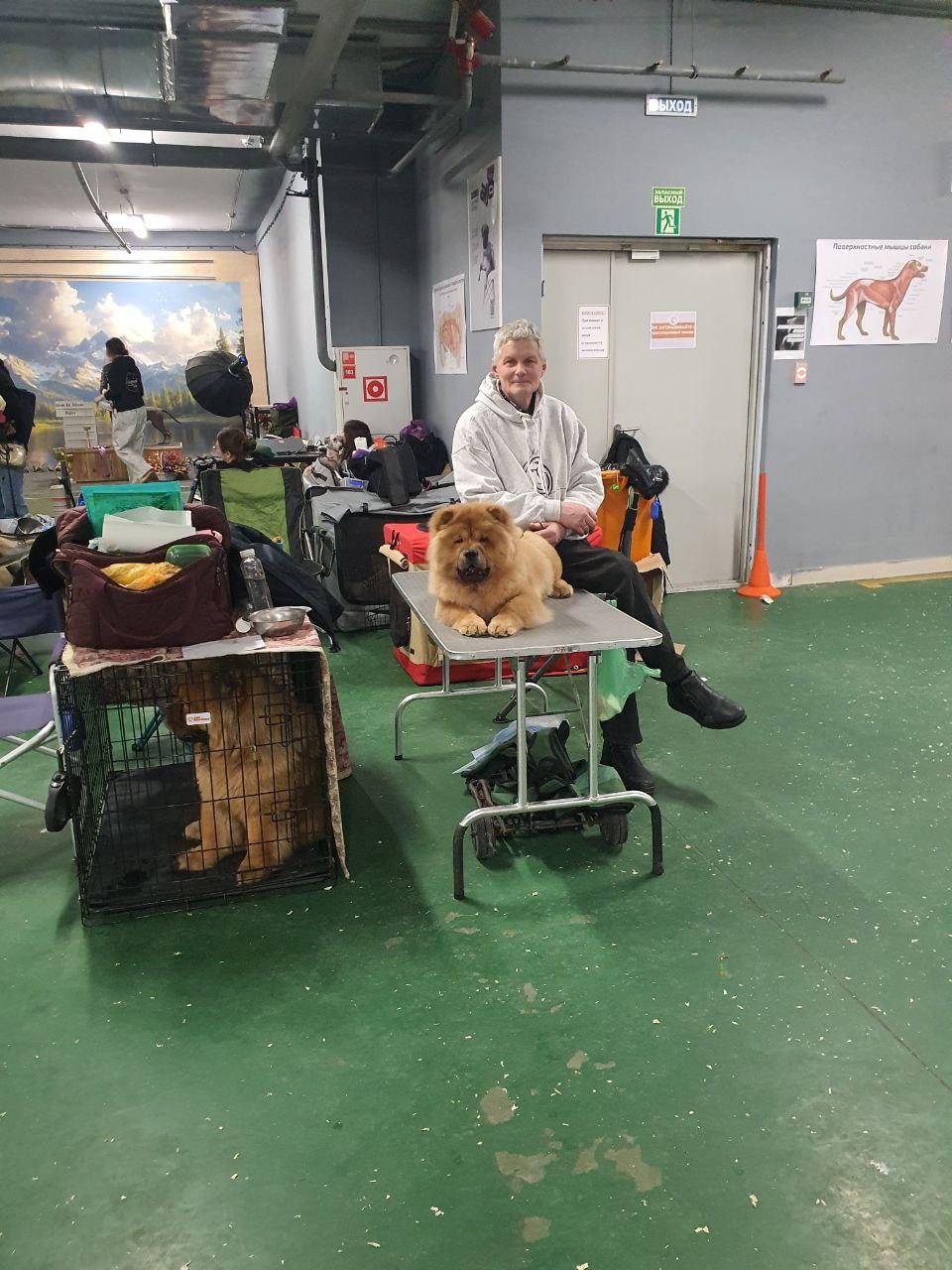 25.10.2025 Hip-Hop Djalo 