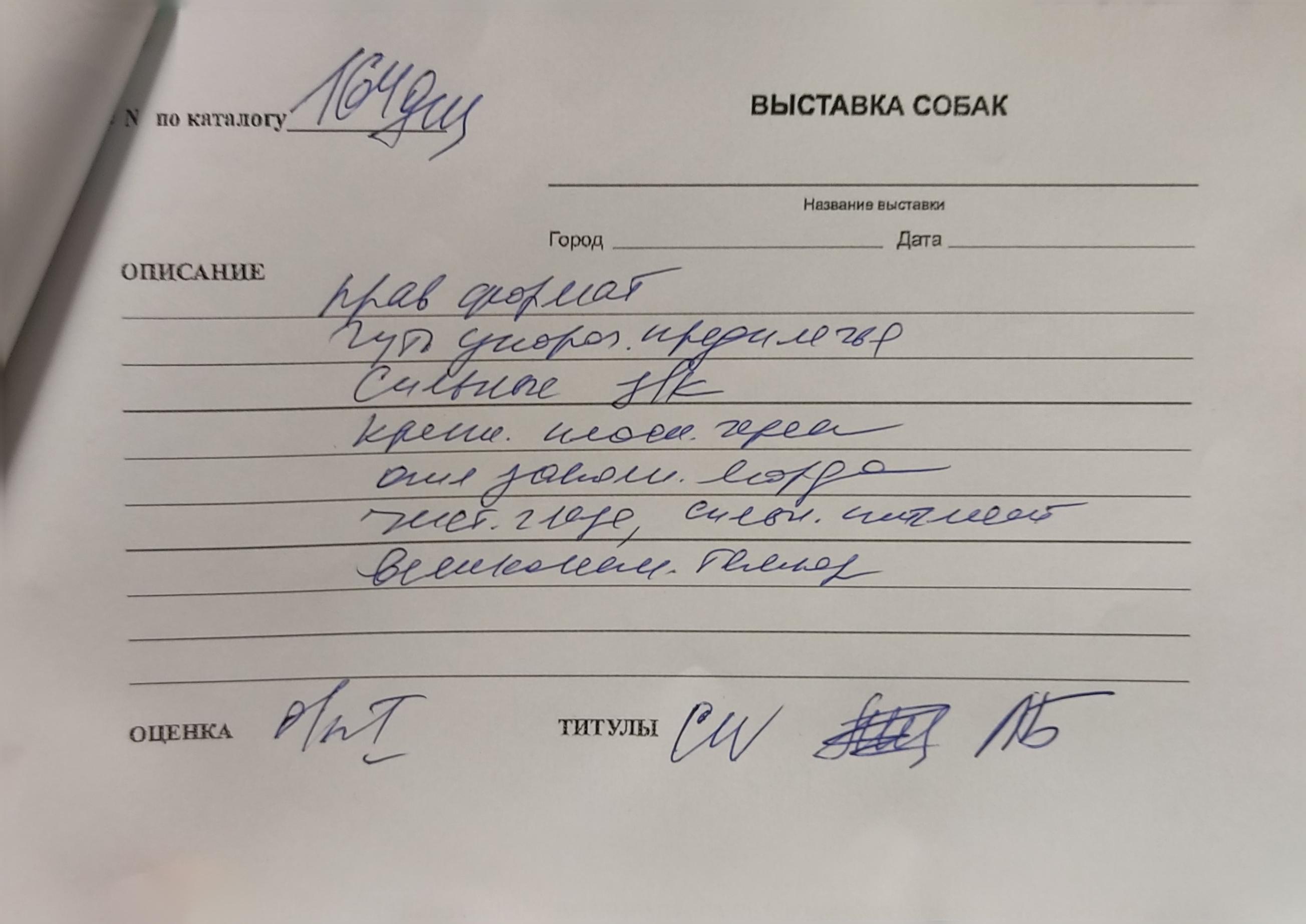 25.10.2025 Hip-Hop Djalo 