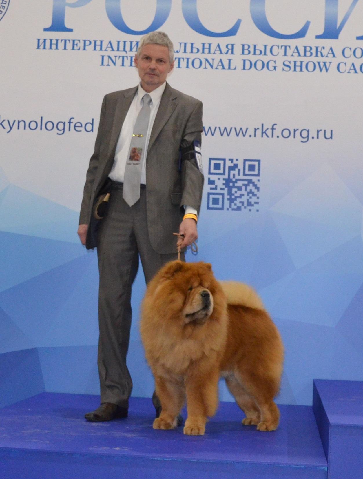 Сеня - 5 лет -  Россия -2017 - 18.11.2017г. - отл. 4