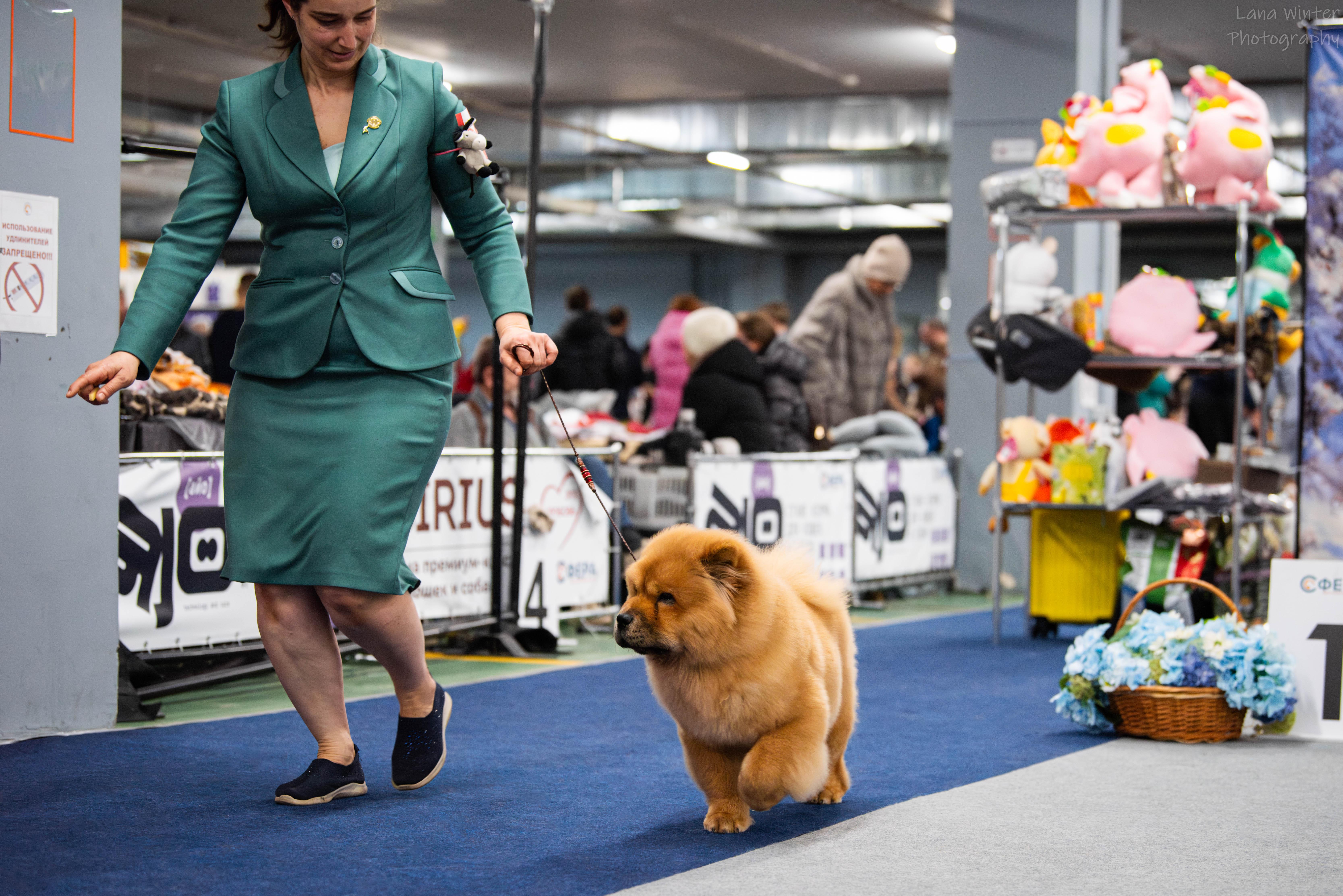 25.10.2025 Hip-Hop Djalo 