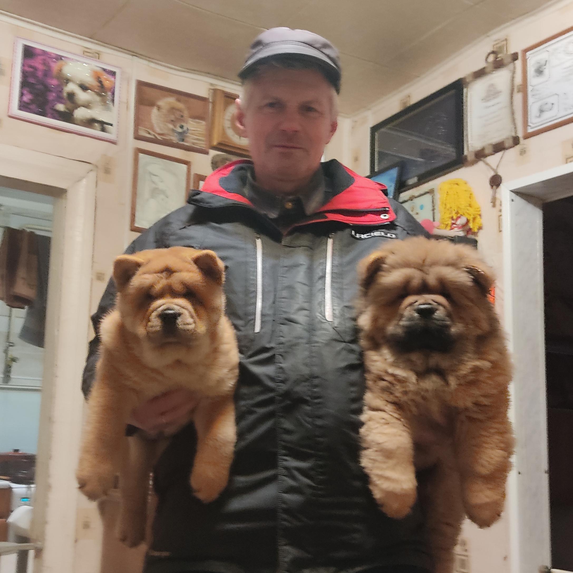 Клото Сантия Ли Мей 