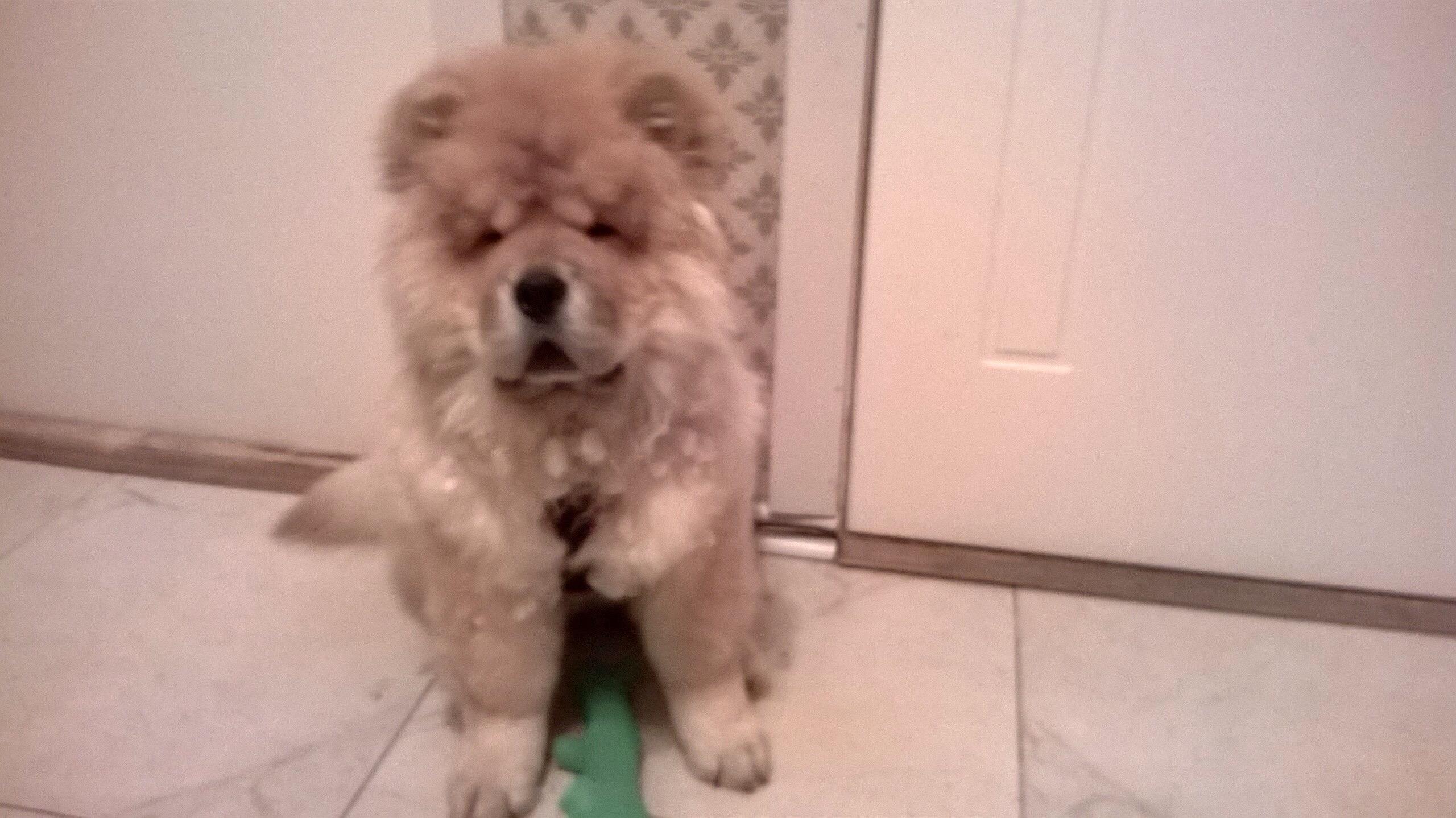 Клото Синтия Лонг Вэй