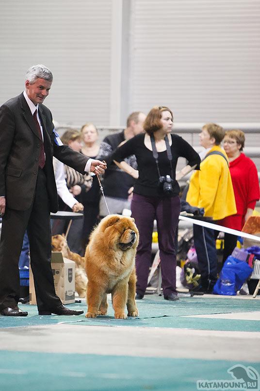 Сеня - 12 месяцев - БРИД 16.11.2013 - отл.-1, CW, ЮСАС, ЛЮ, ЛПП, BIG-4