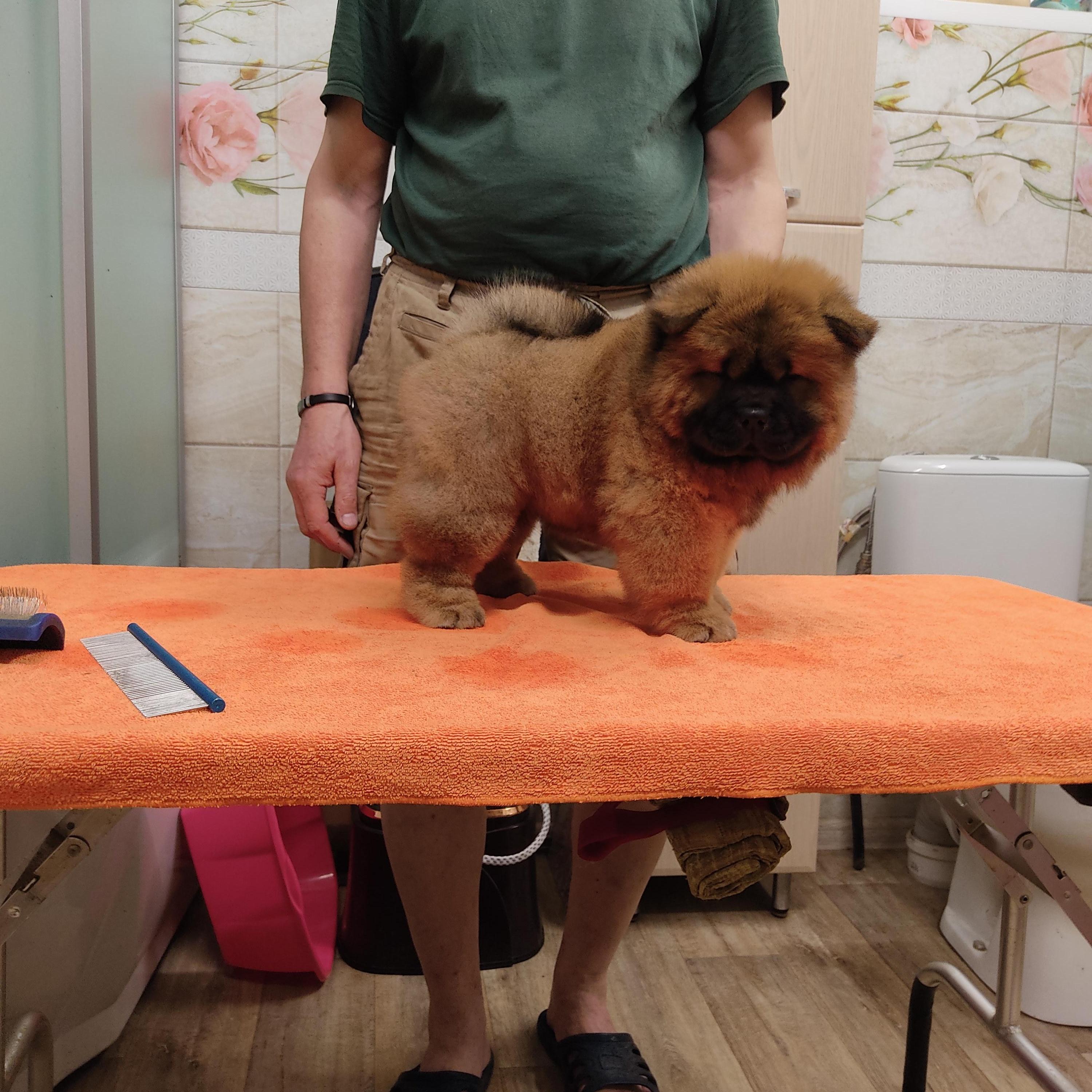 Клото Сани Анджонг