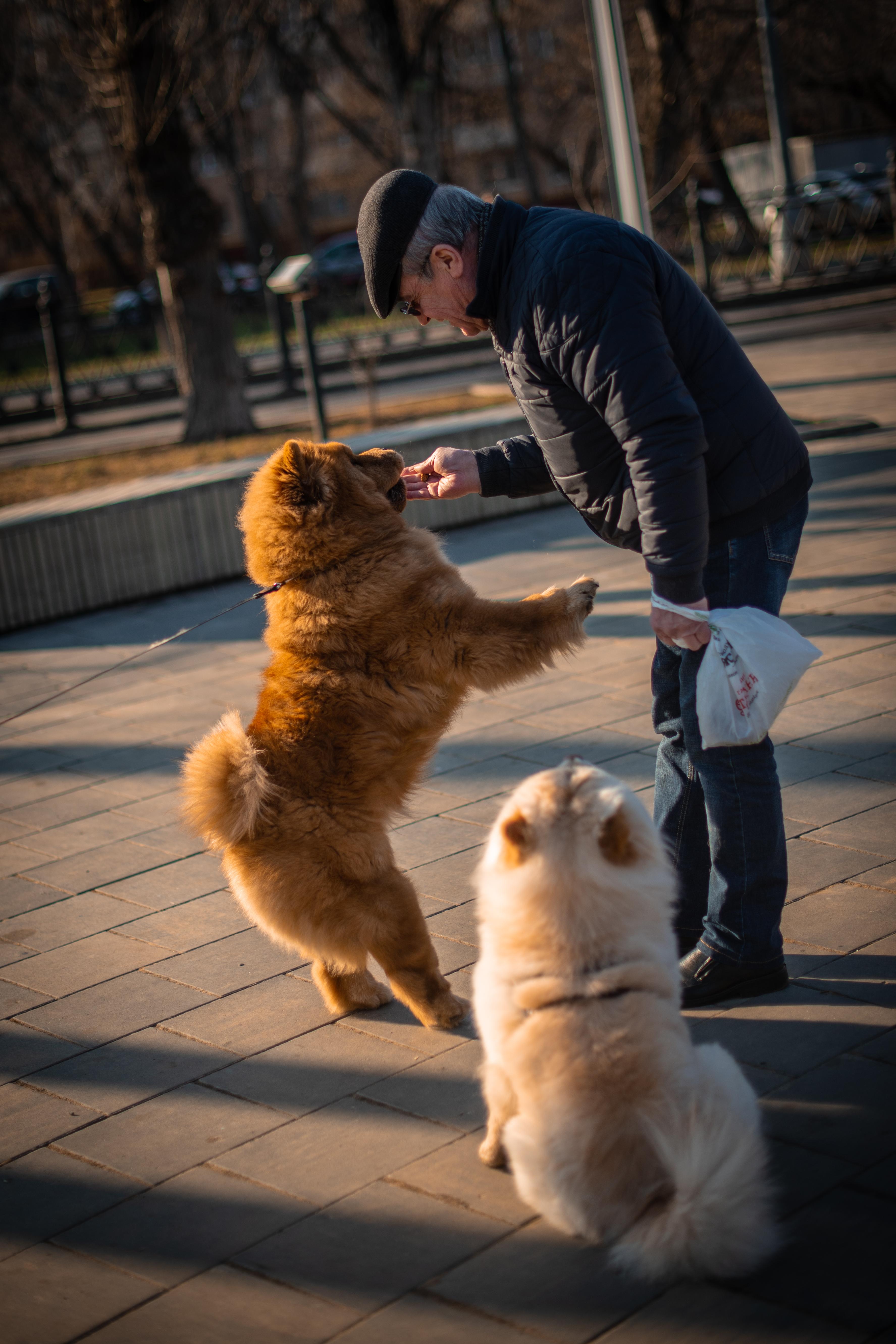Сеня 7 месяцев