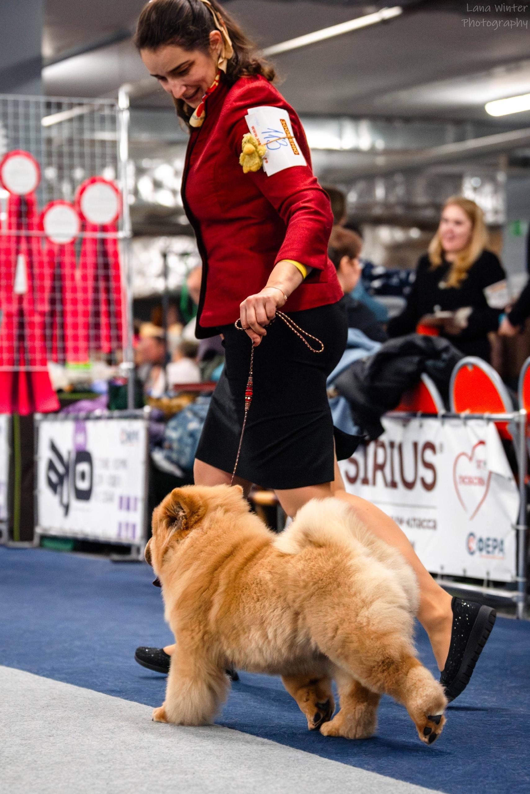 25.10.2025 Hip-Hop Djalo 