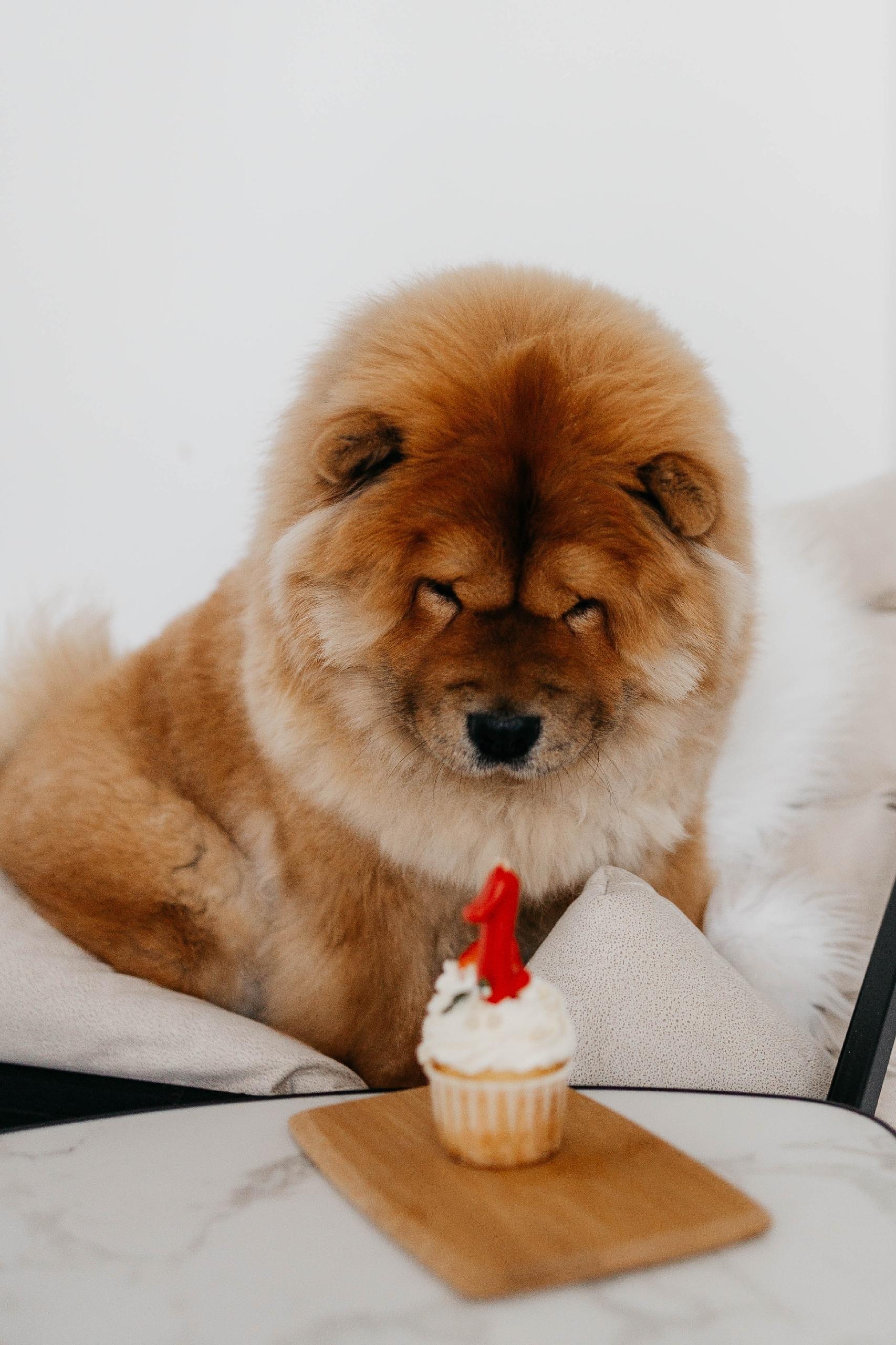 Клото Сантия Ли Мей 