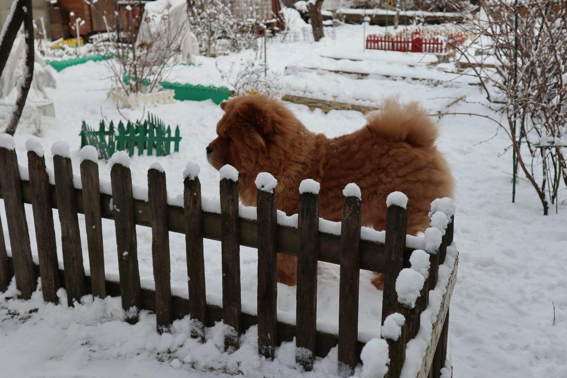 Сеня 7 месяцев