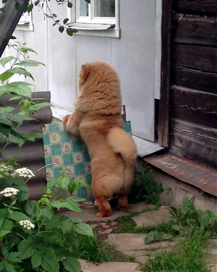 Сеня 8 месяцев