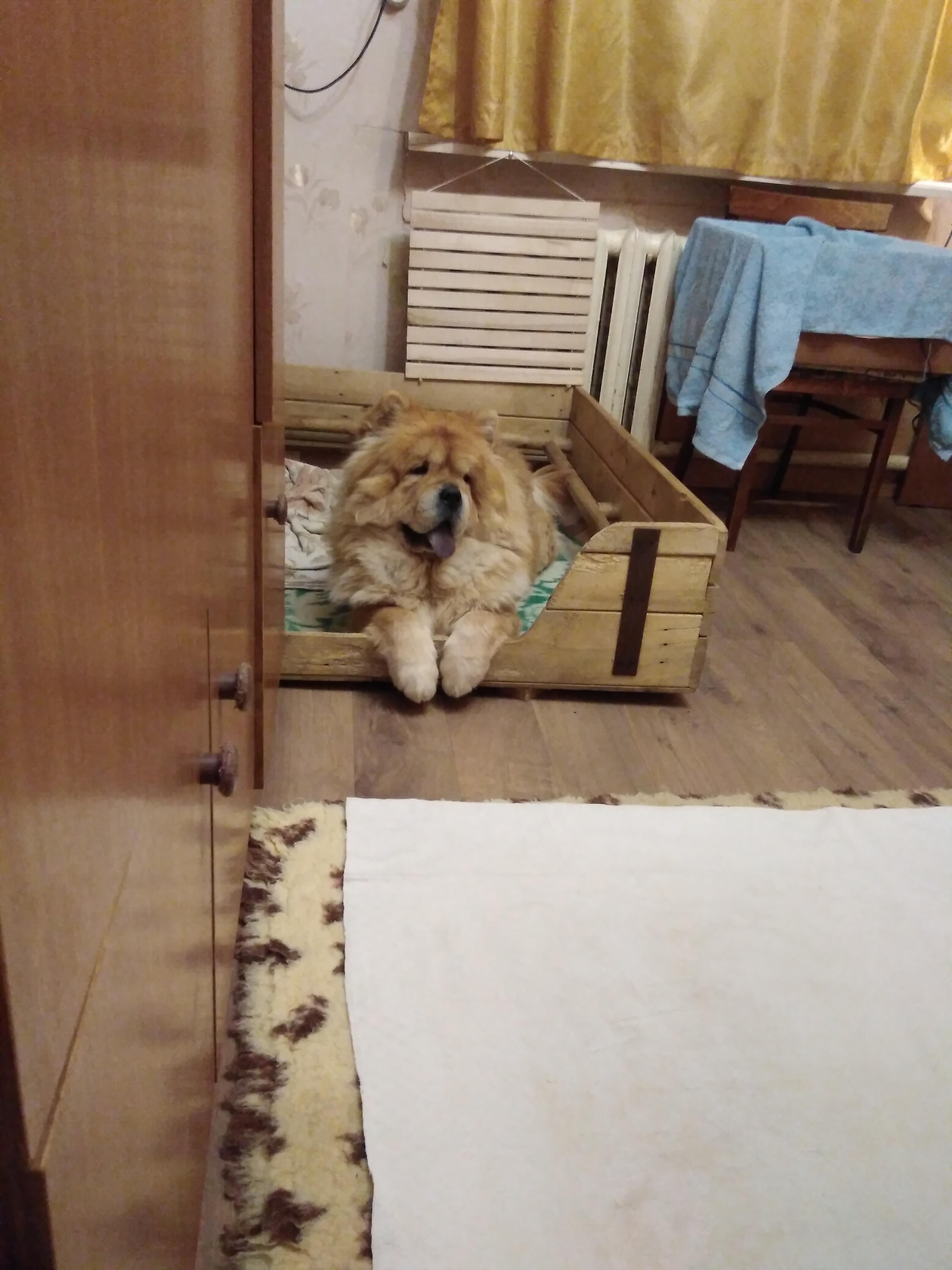 Клото Сильвия Мин Чжу