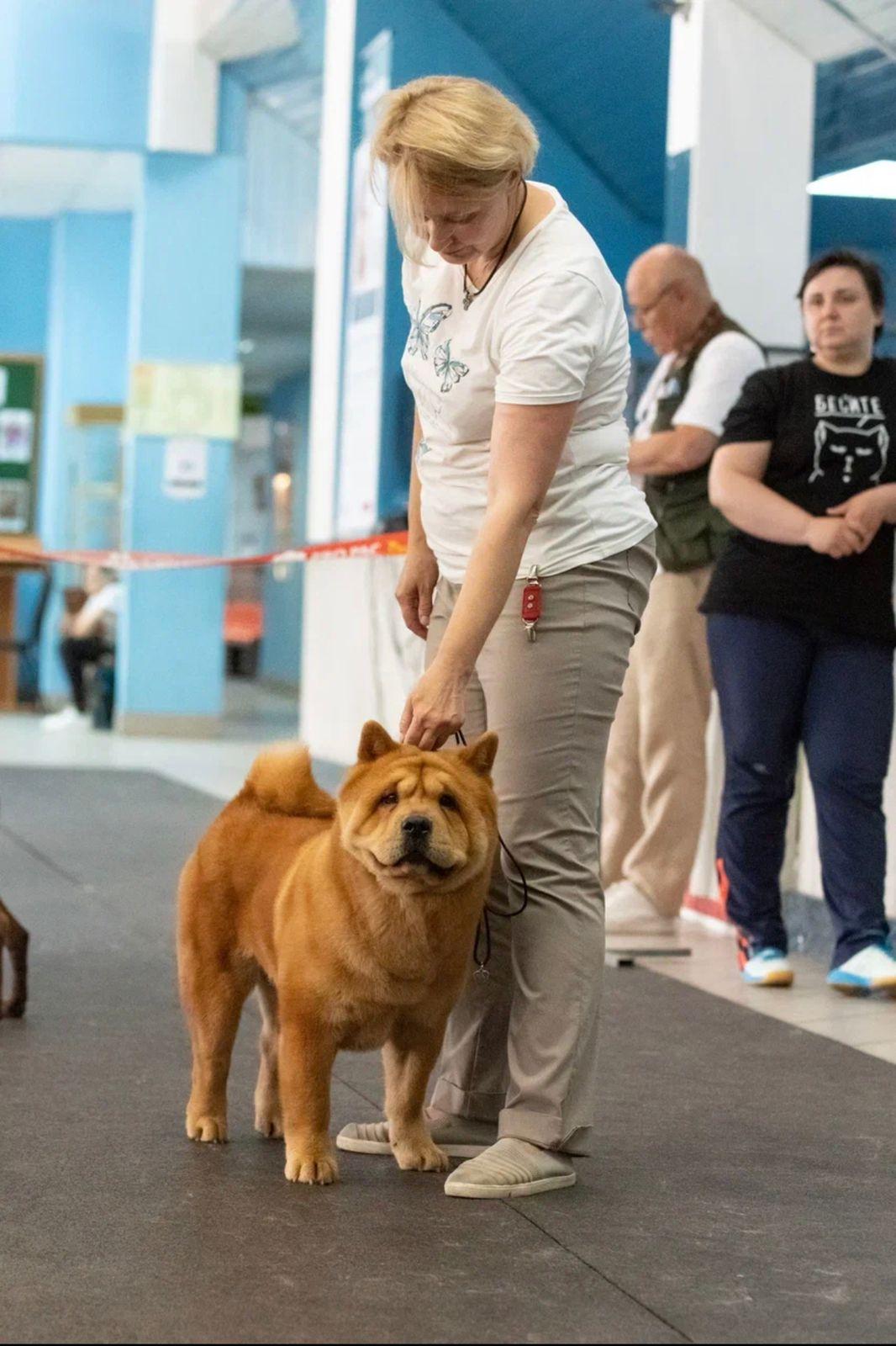 Клото Сантия Ли Мей 