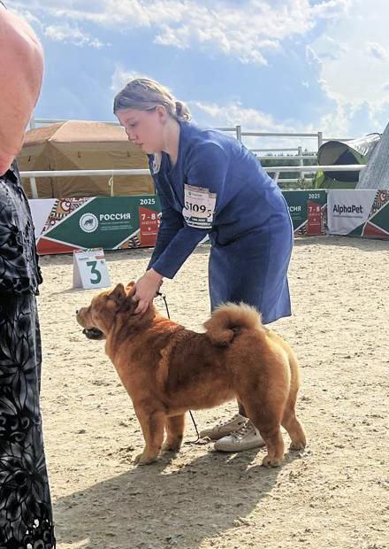 Клото Сантия Ли Мей 