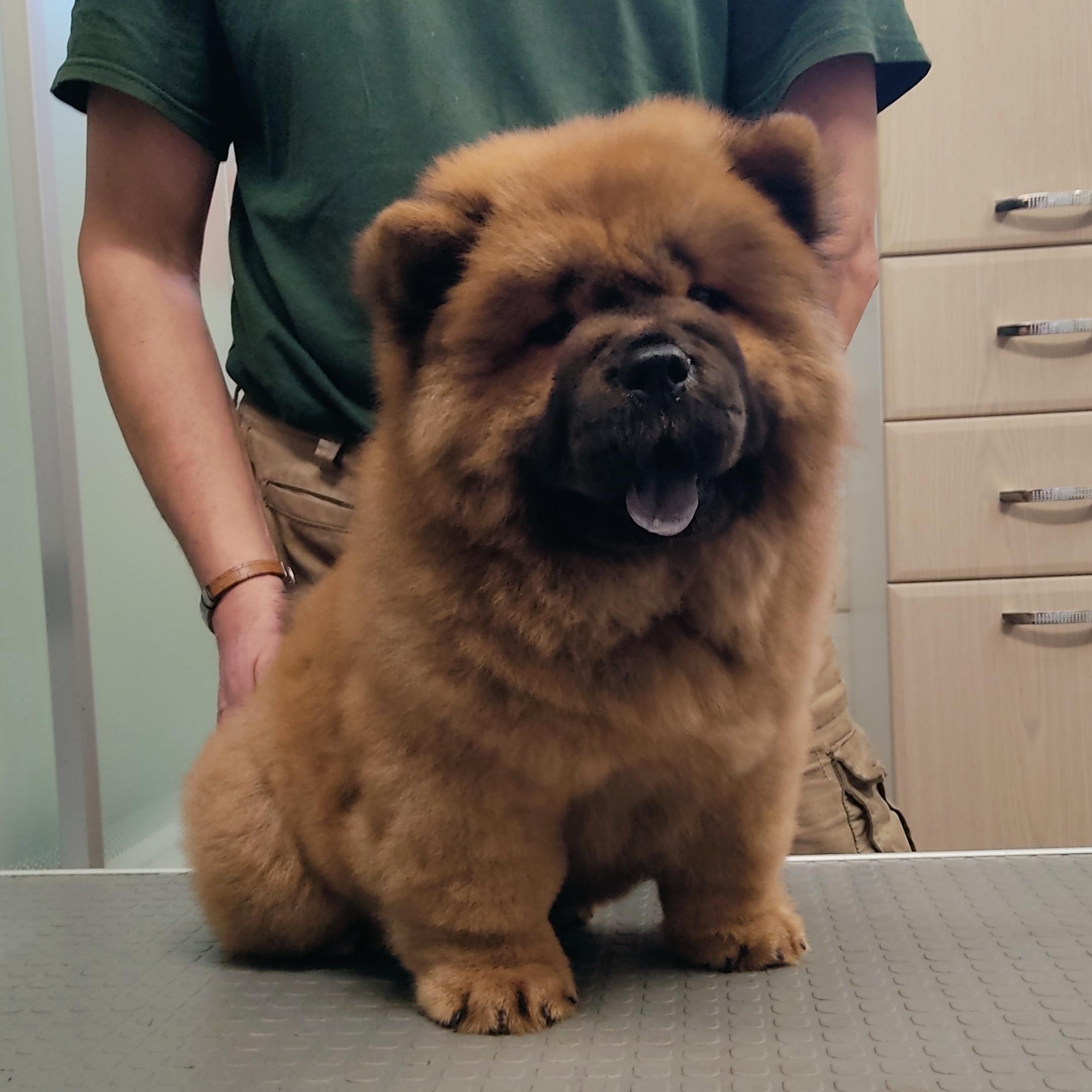 Клото Сани Анджонг