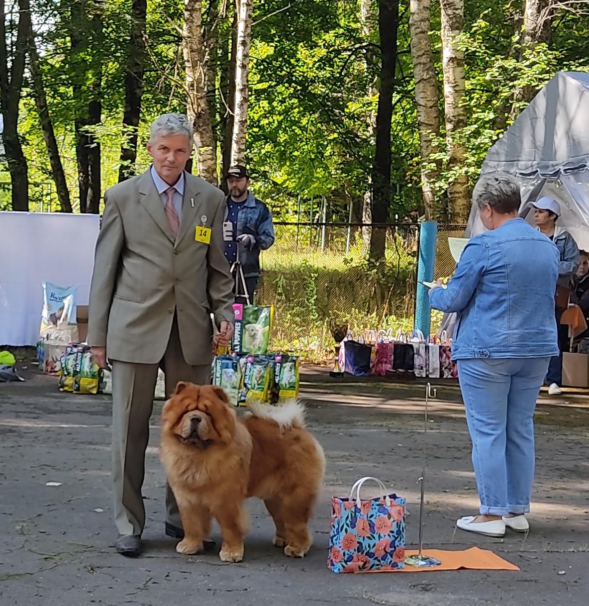 Сеня - 2,5 года - Евразия-2015 - 21.03.2015г. - отл. 3