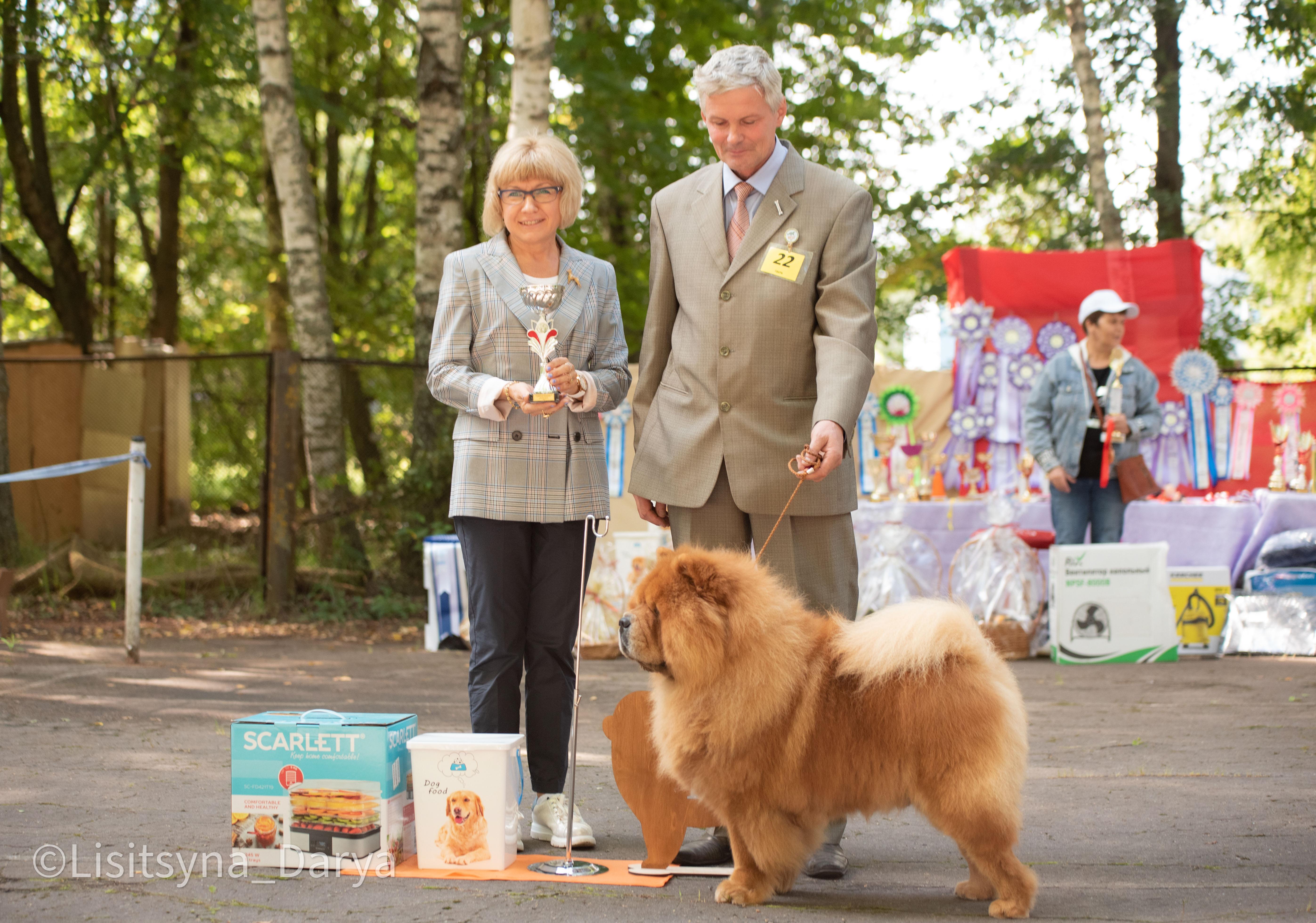Сеня - 9,5 лет - Национальная моно г. Тверь  - 14.08.2021г.- отл.1, ЛКВ, VКЧК, ВПГ