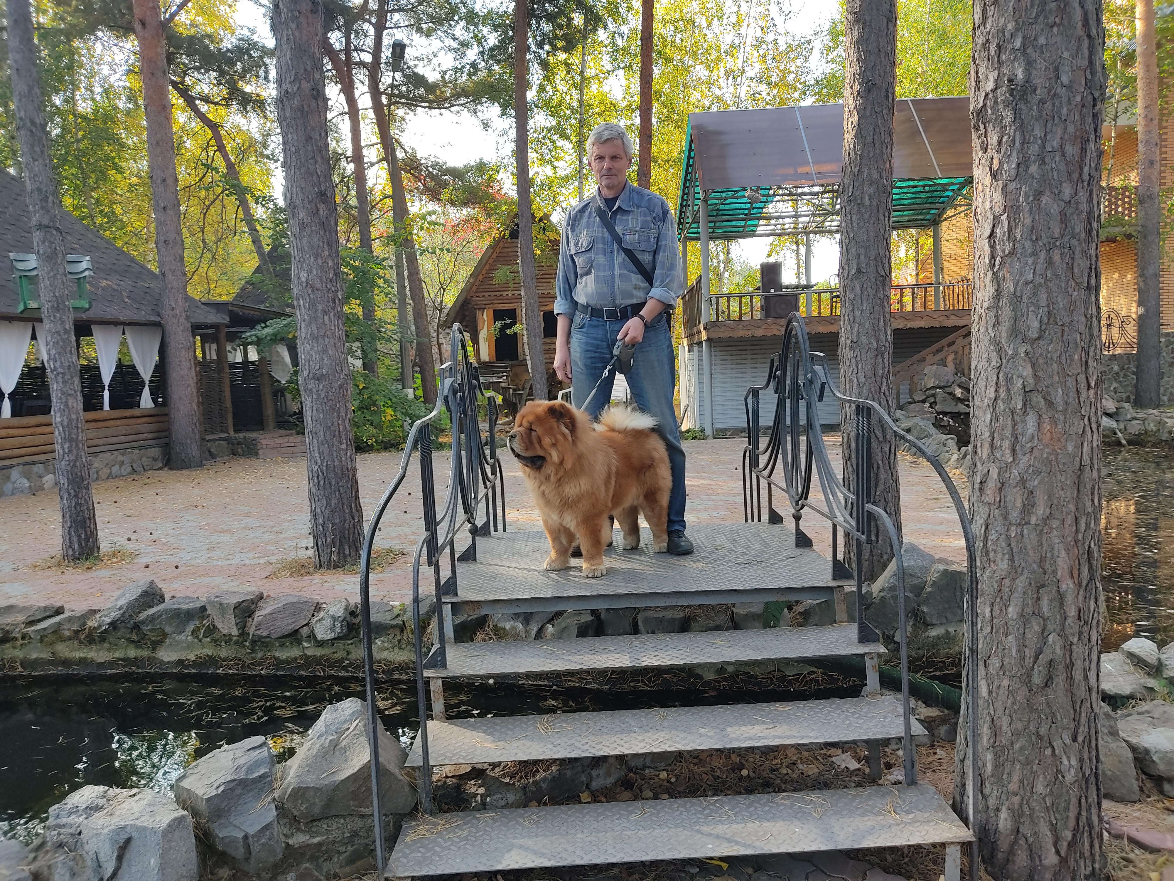 Сеня - 2,5 года - Евразия-2015 - 21.03.2015г. - отл. 3