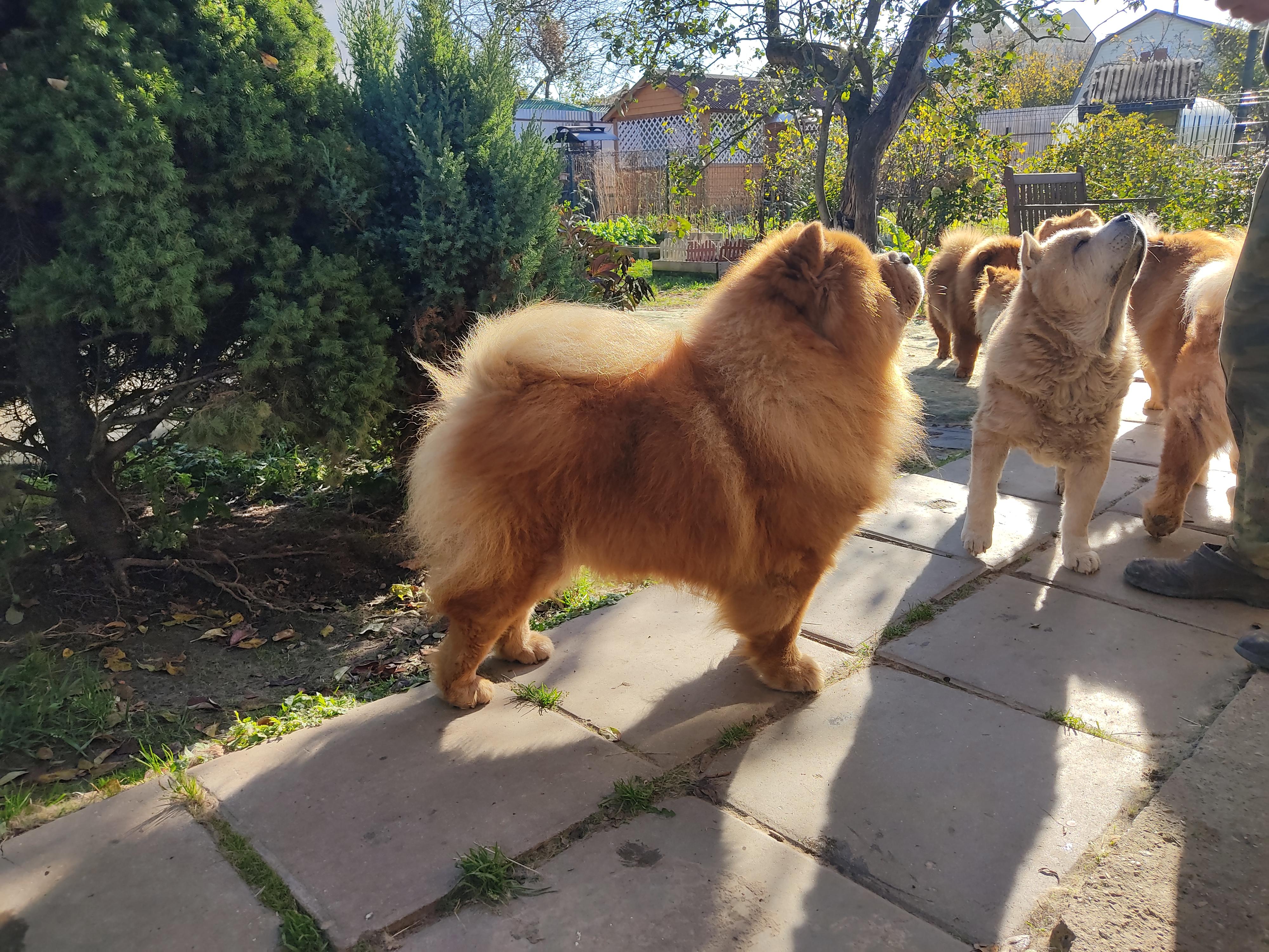 Сеня - 10 лет 