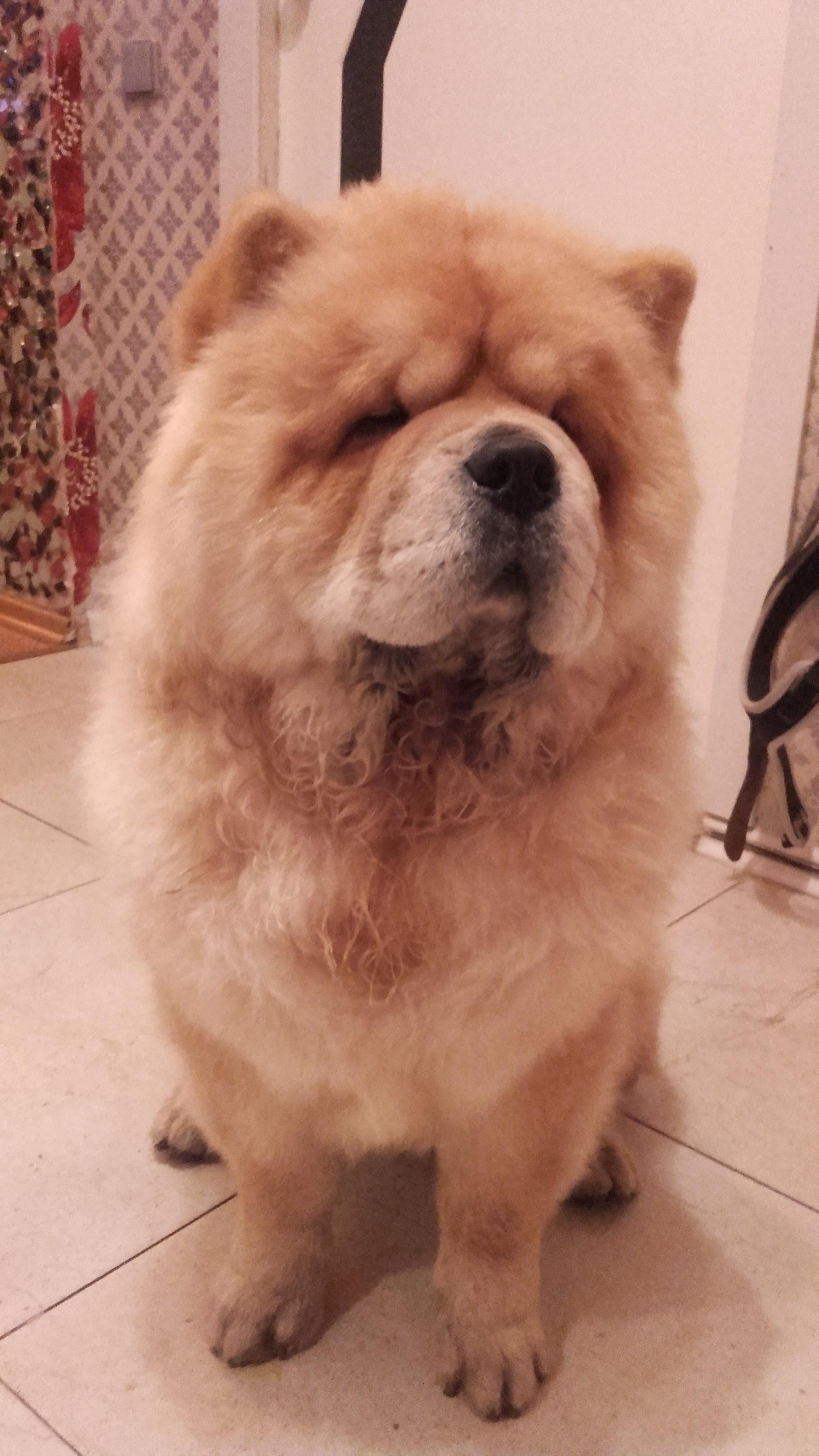 Клото Синтия Лонг Вэй 