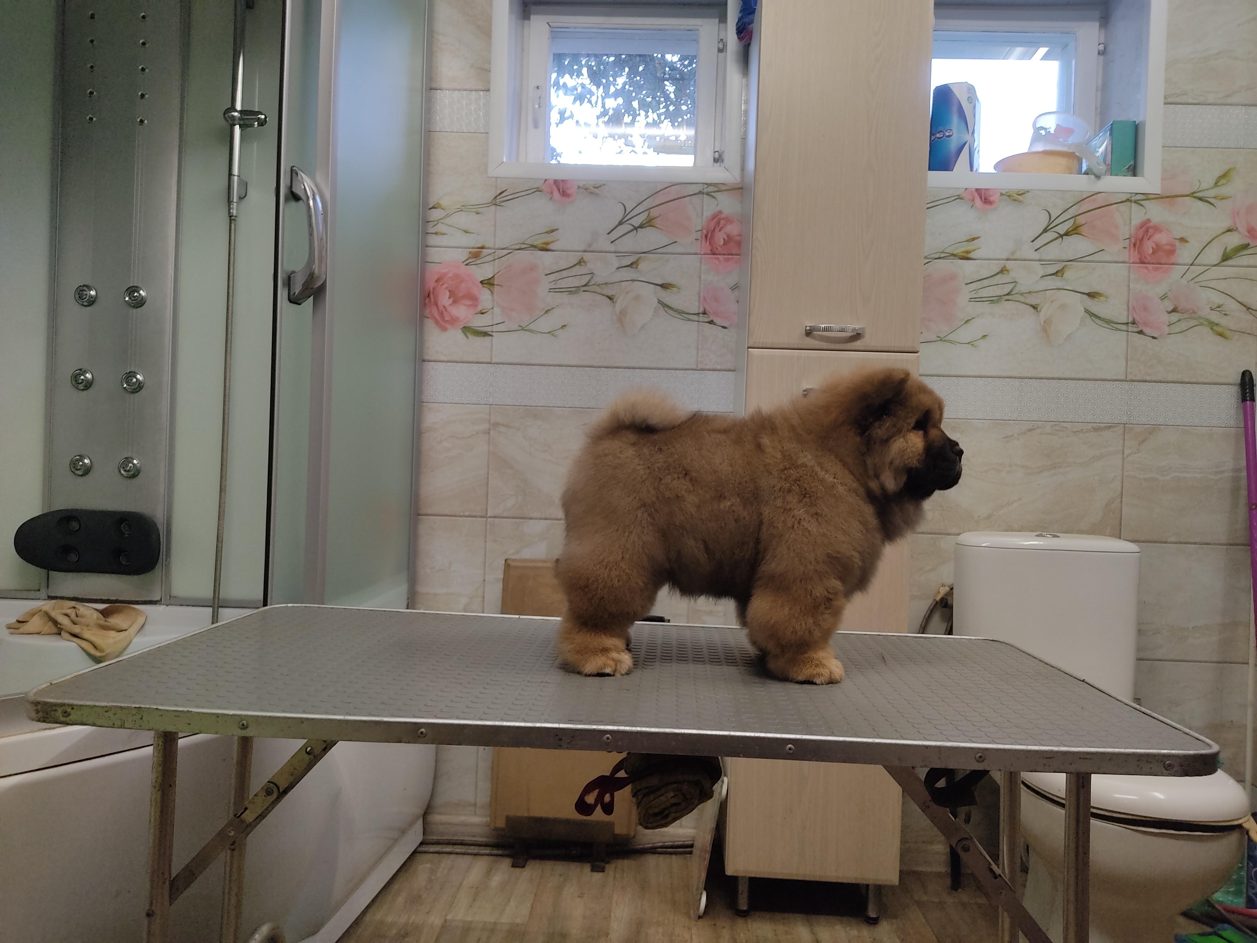 Клото Сантия Ли Мей 