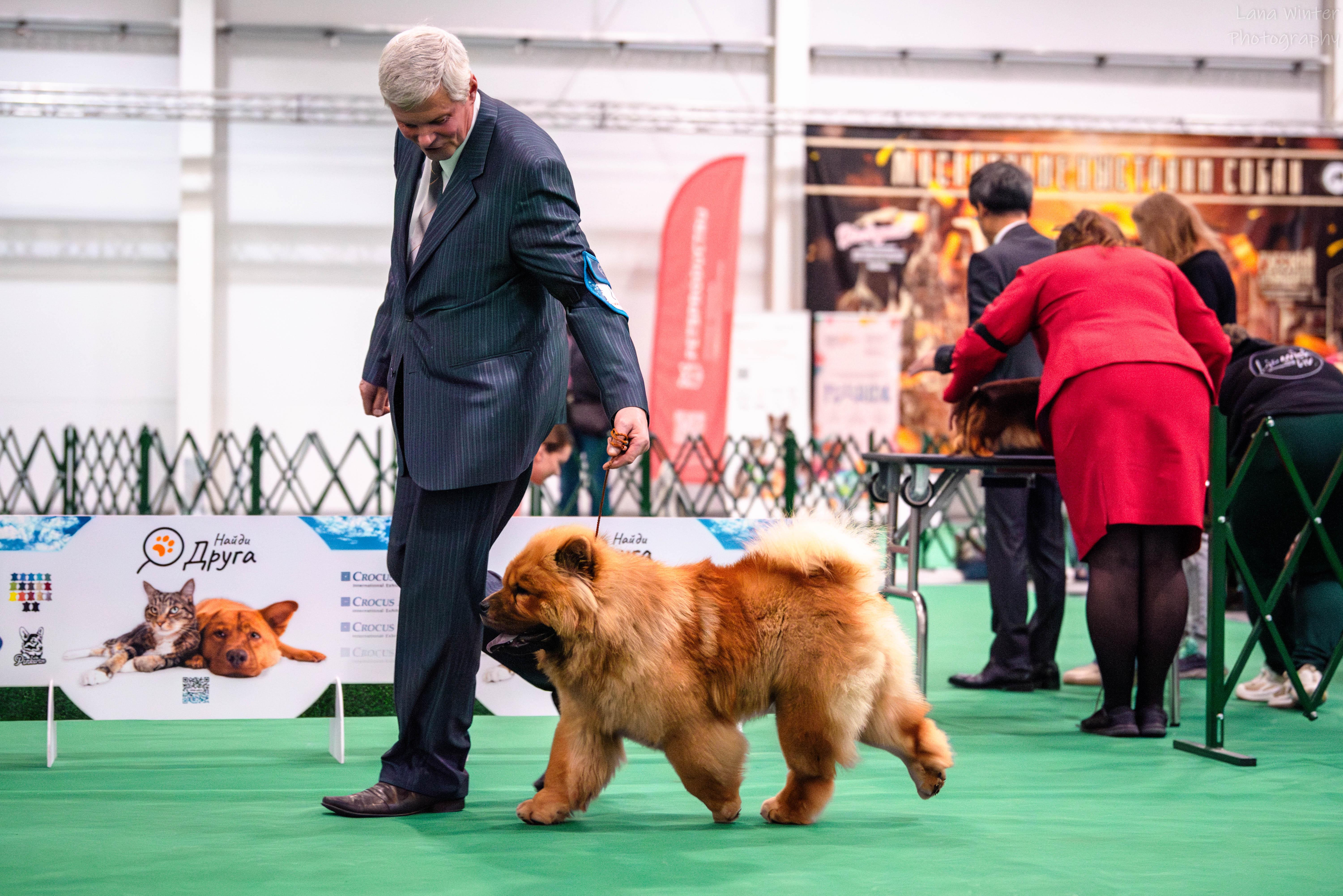 25.10.2025 Hip-Hop Djalo 