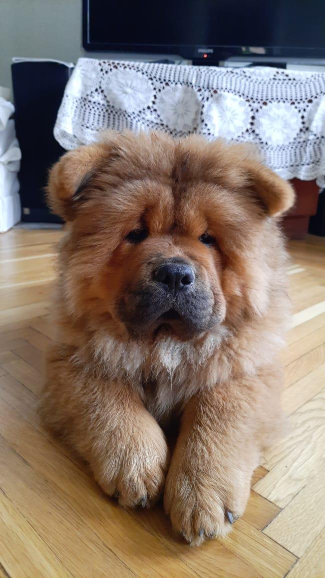 Клото Стефания Гуанчжоу