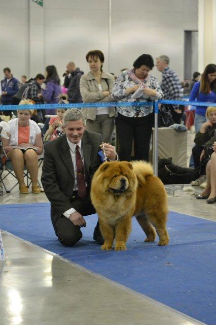 Сеня - 17 месяцев - Евразия-2014 - 23.03.2014 - отл. 4