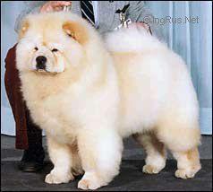 MI-PAO'S IMPERIAL CREAM