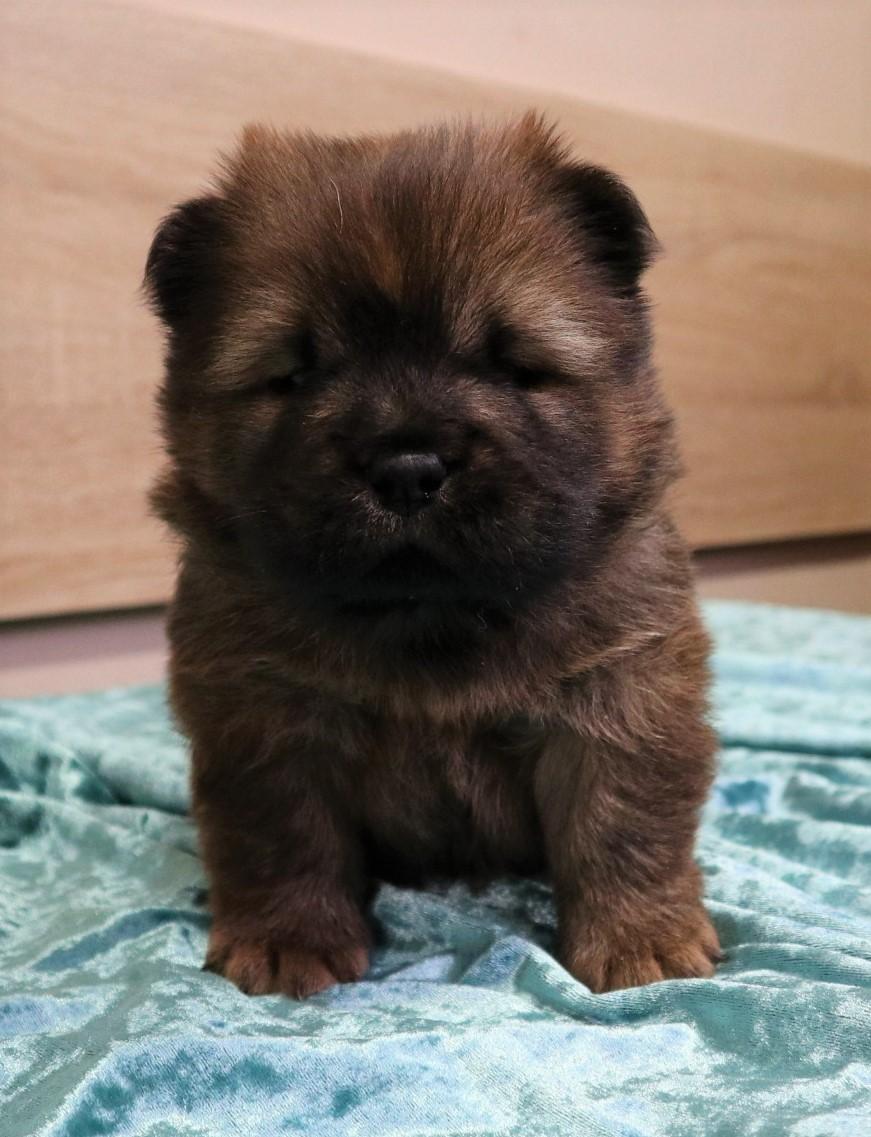 Клото Стефания Гуанчжоу