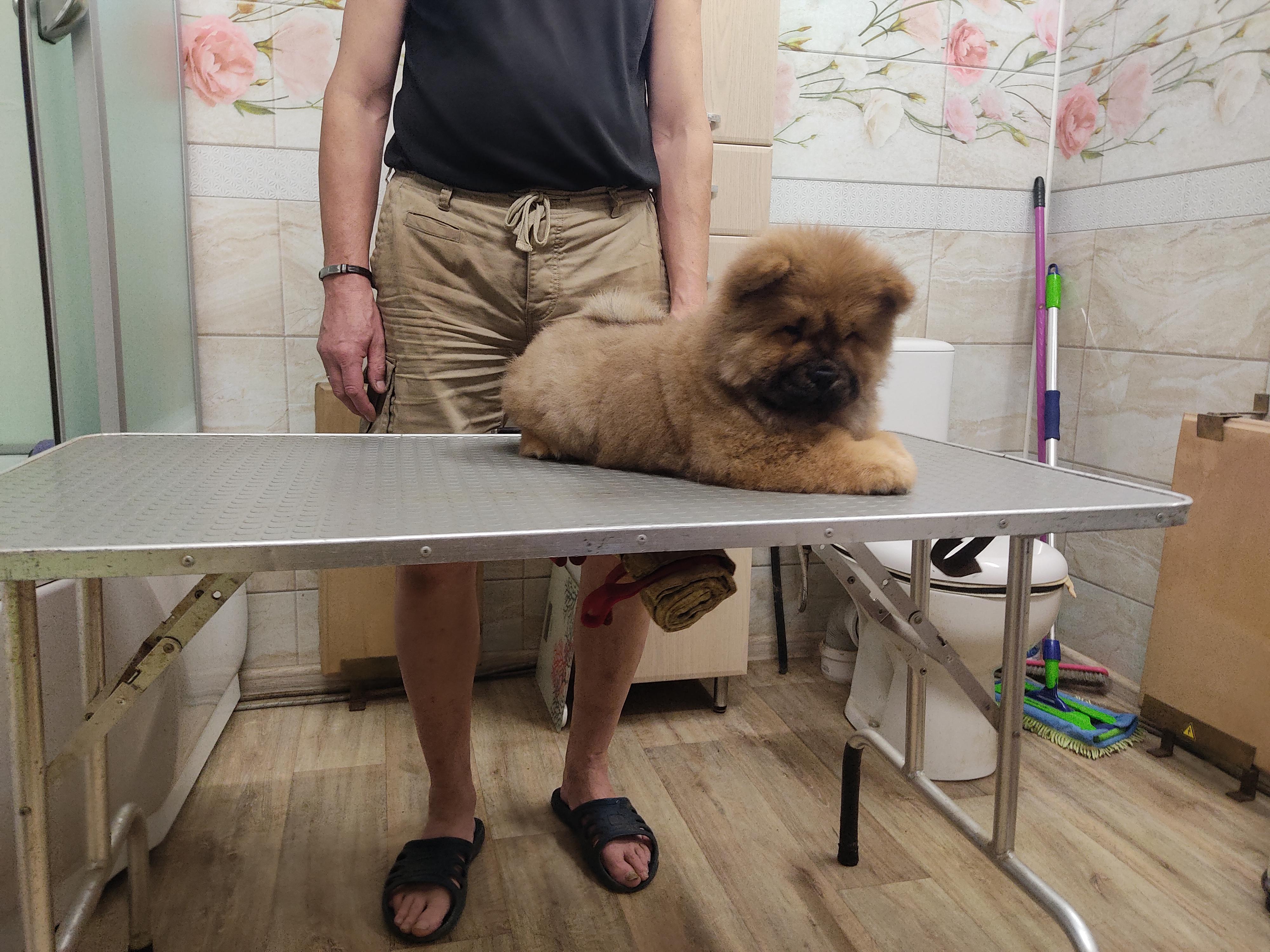 Клото Сантия Ли Мей 