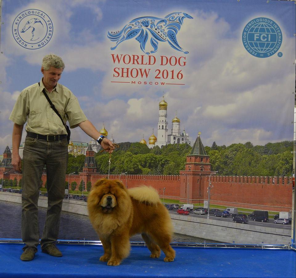 Сеня - 3,5 года - Москва WDS-2016  - 24.06.2016г. - отл. - 4 (26 собак по каталогу в классе чемпионов)