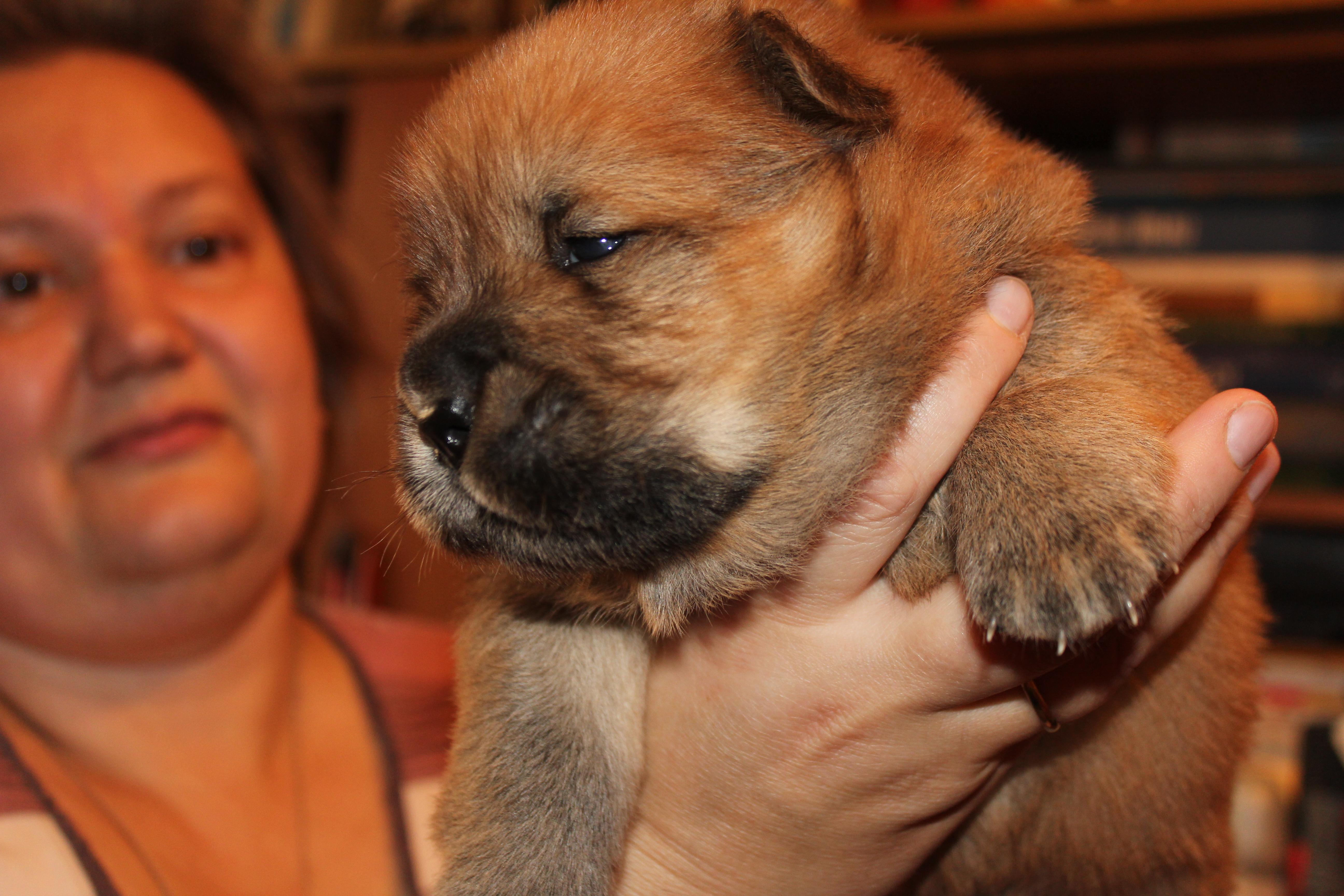 Клото Сантия Ли Мей 