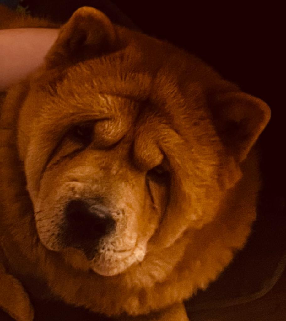 Клото Сантия Ли Мей 