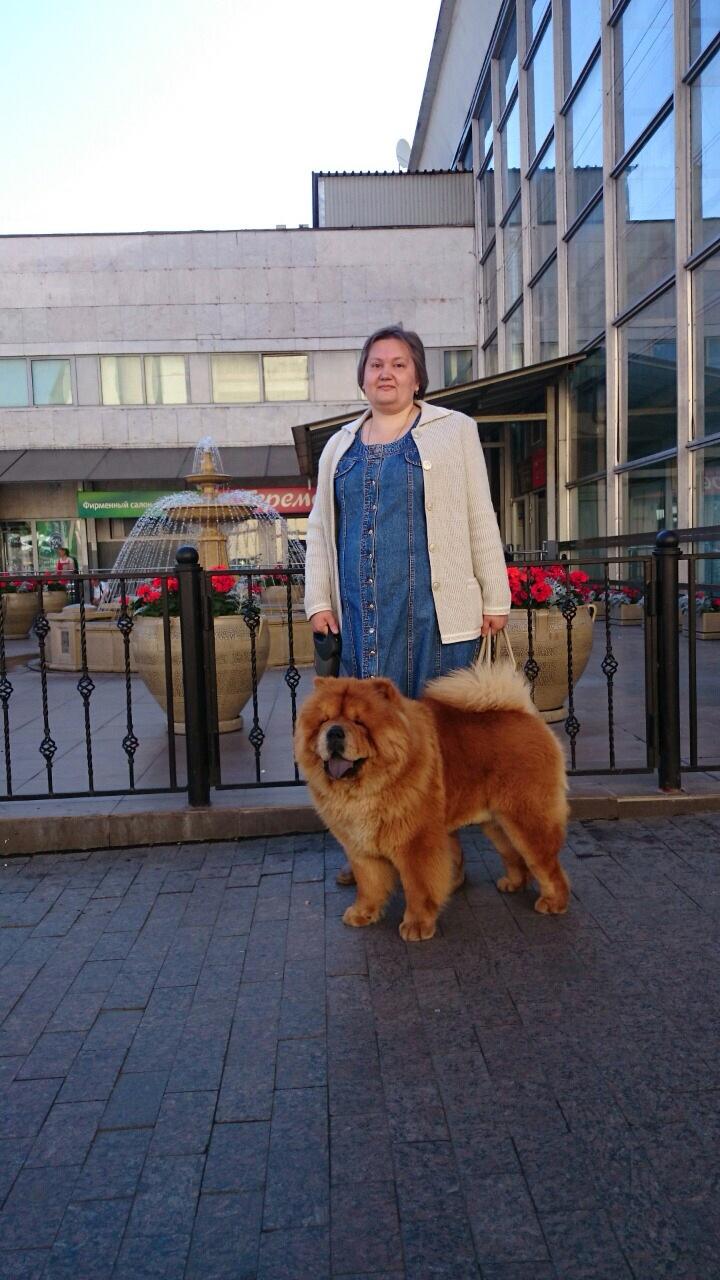 Сеня - 20 месяцев - Владимир CACIB - 05.07.2014 - отл. б/т