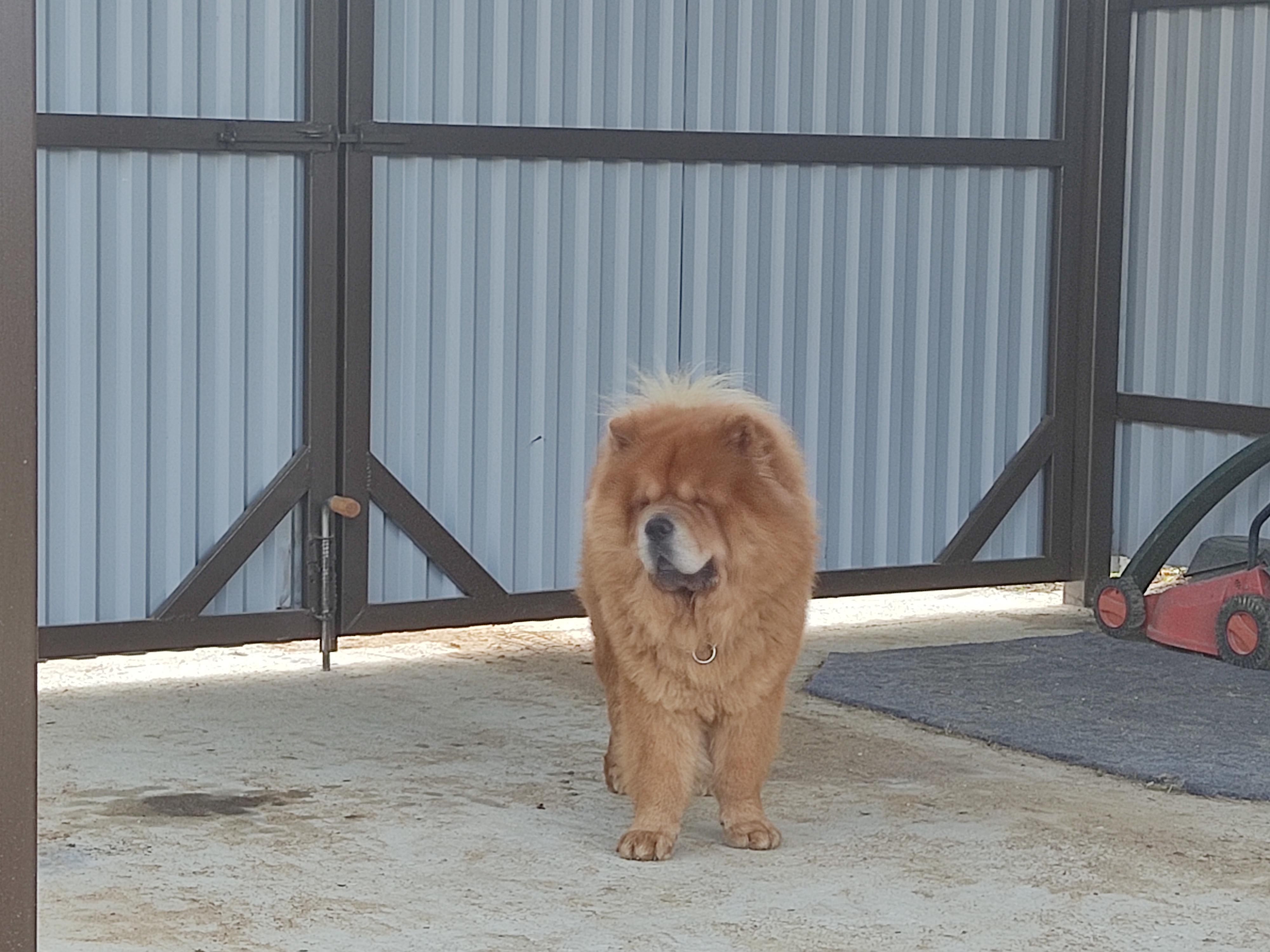 Клото Сани Анджонг