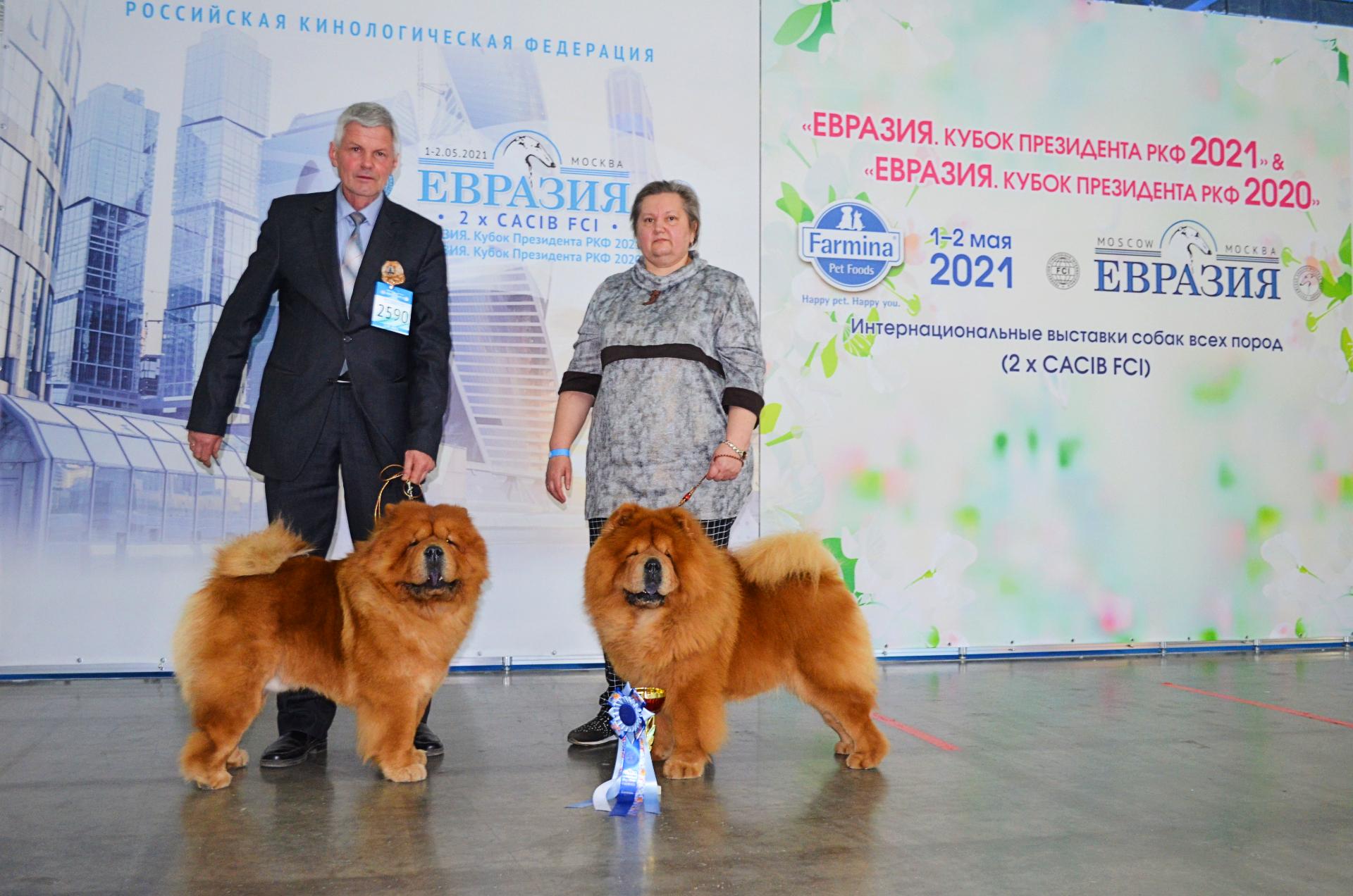 Сеня - 2,5 года - Евразия-2015 - 21.03.2015г. - отл. 3