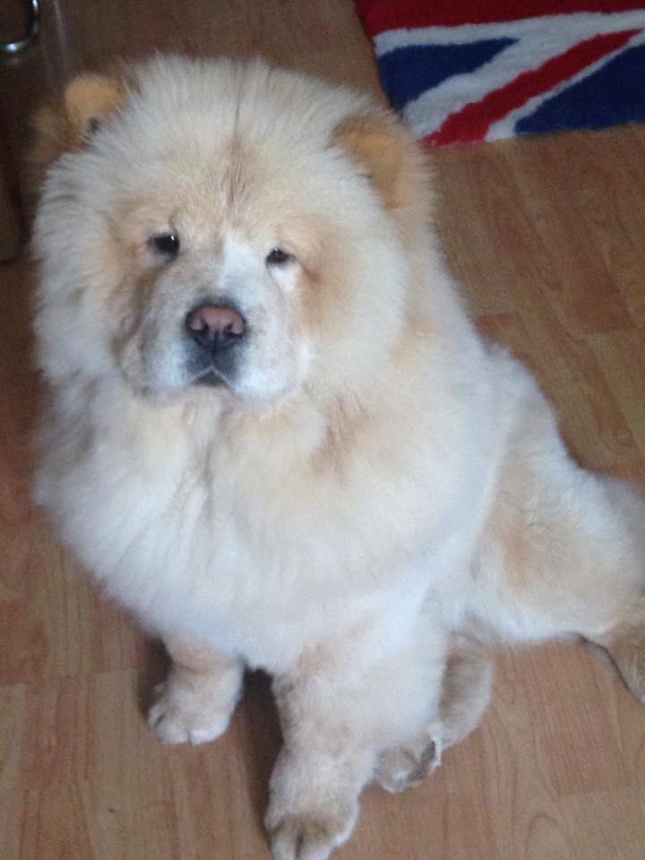 Клото Стефания Гуанчжоу 