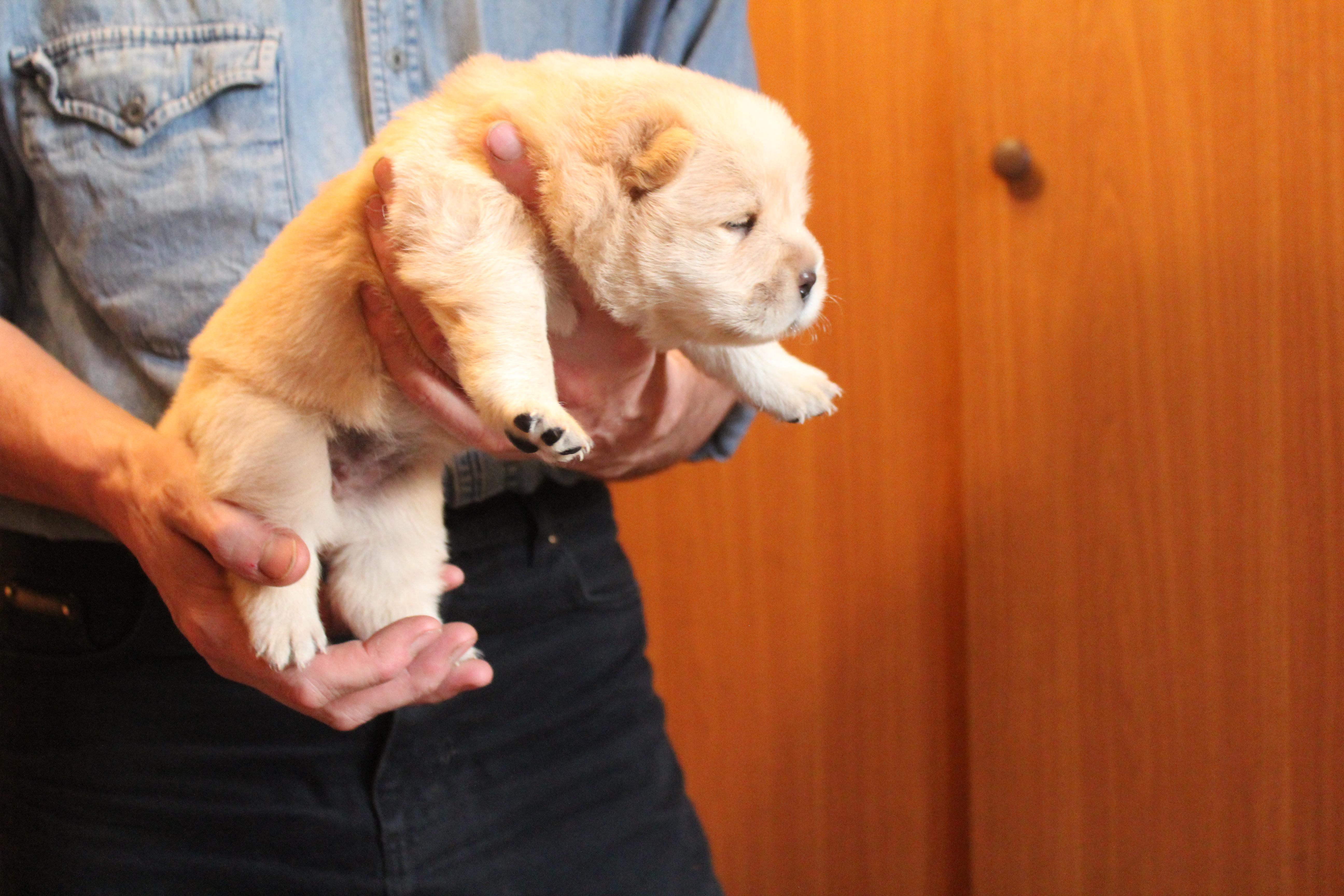 Клото Стефания Гуанчжоу