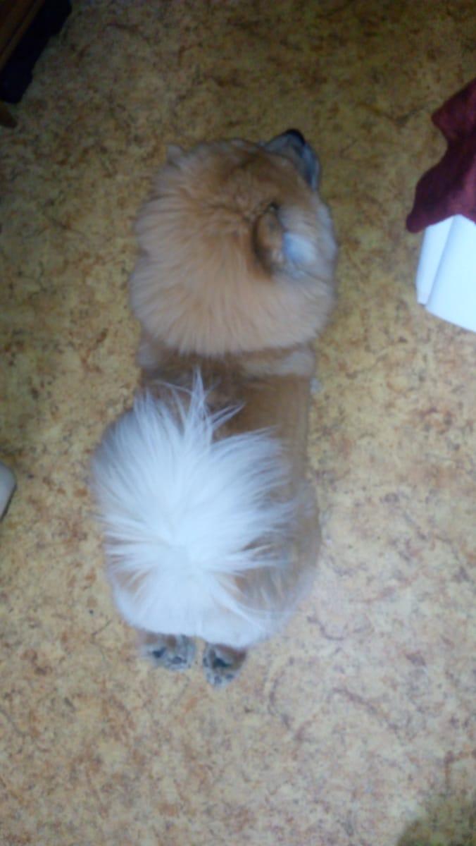 Клото Стефания Гуанчжоу