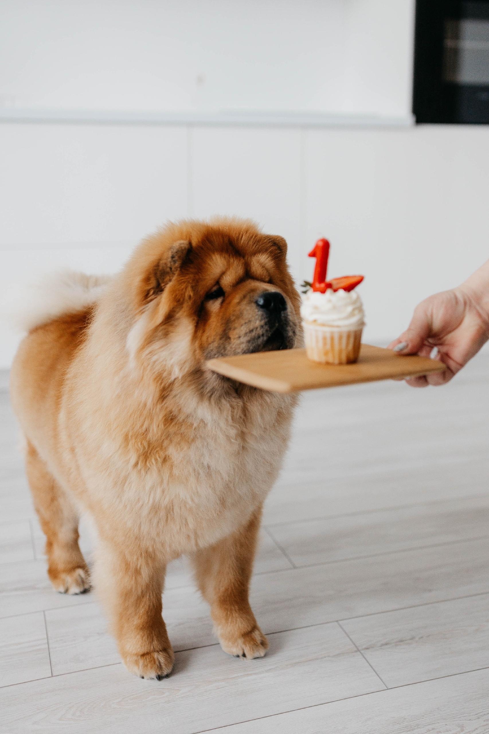 Клото Сантия Ли Мей 