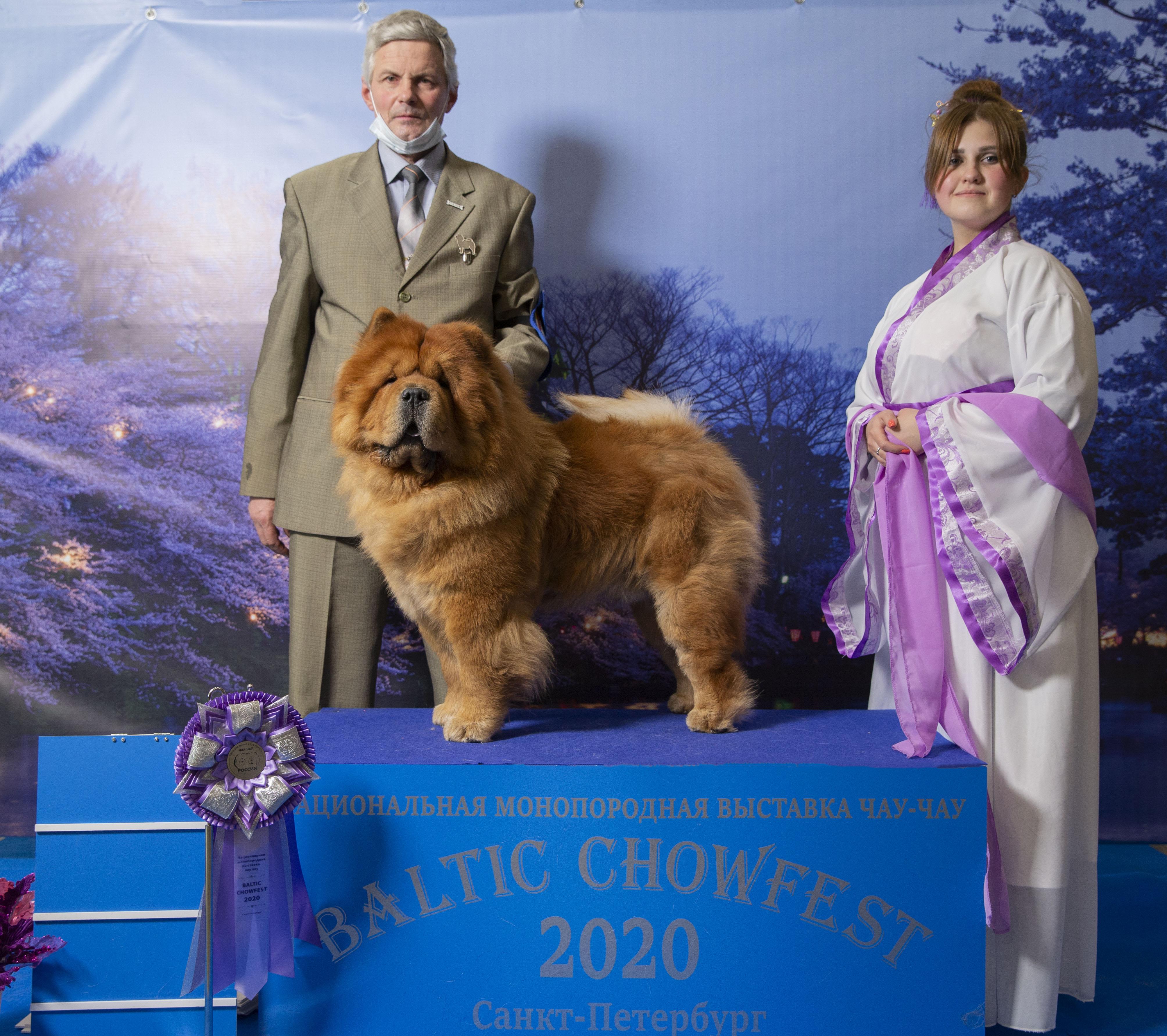 Сеня - 15 месяцев - Фауна - 08.02.2014 - отл., CW, САС, ЧФ