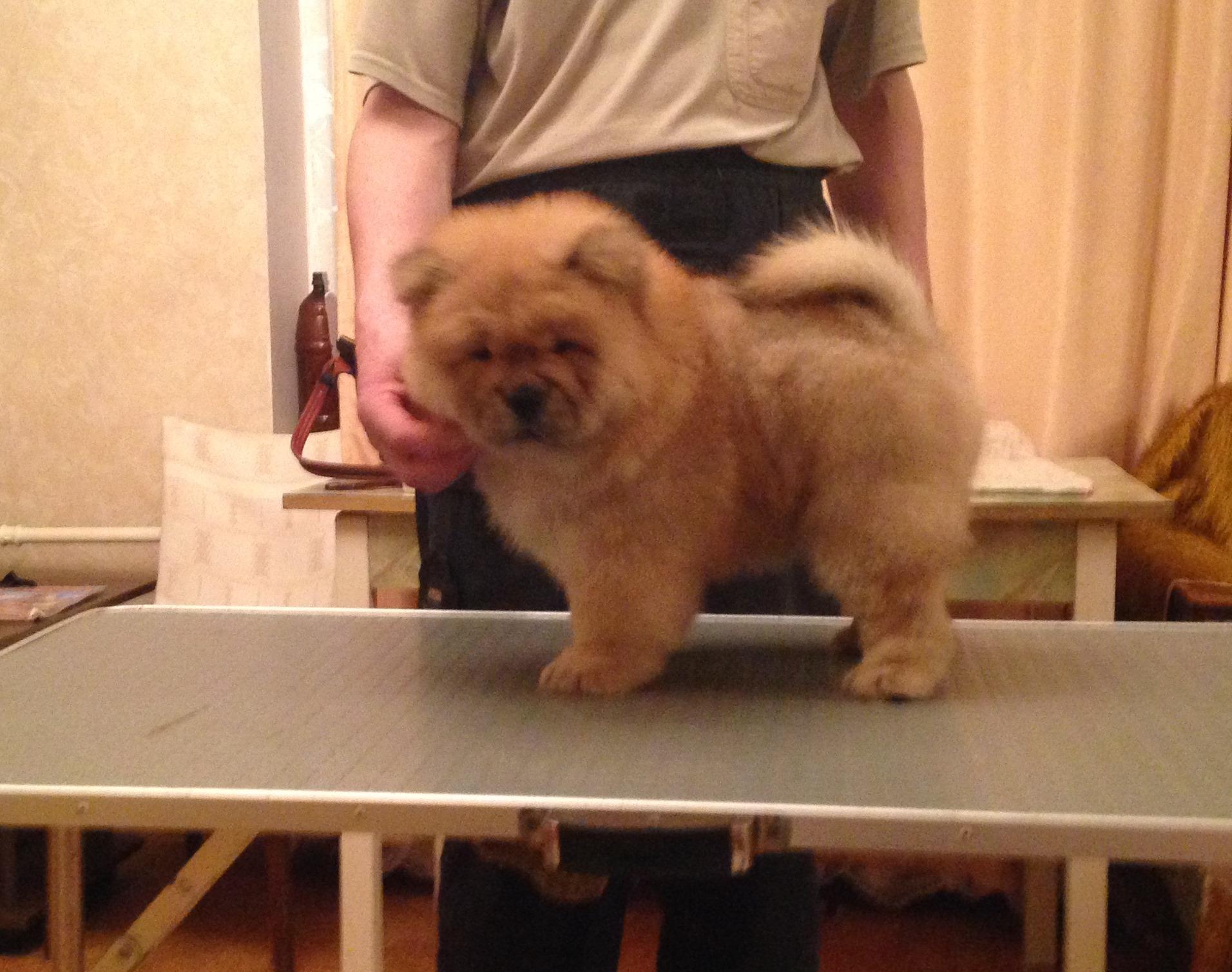 Клото Сильвия Мин Чжу