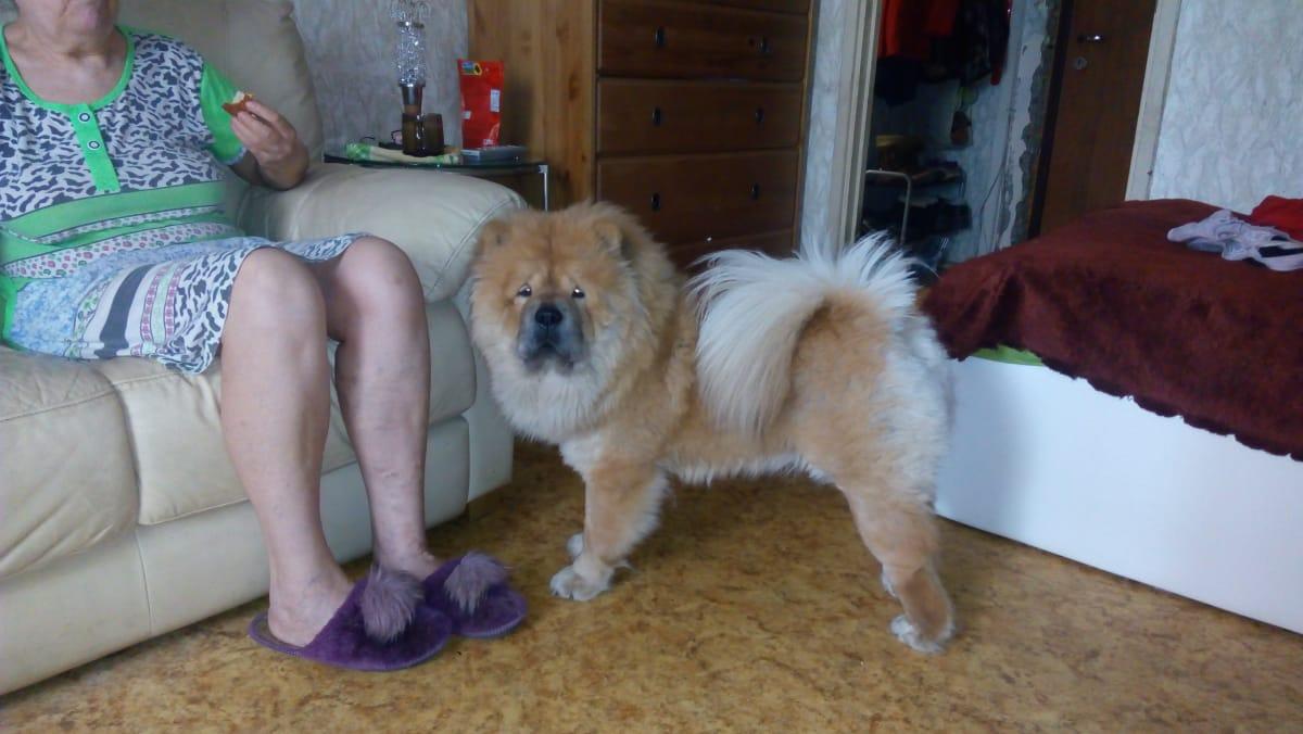 Клото Стефания Гуанчжоу