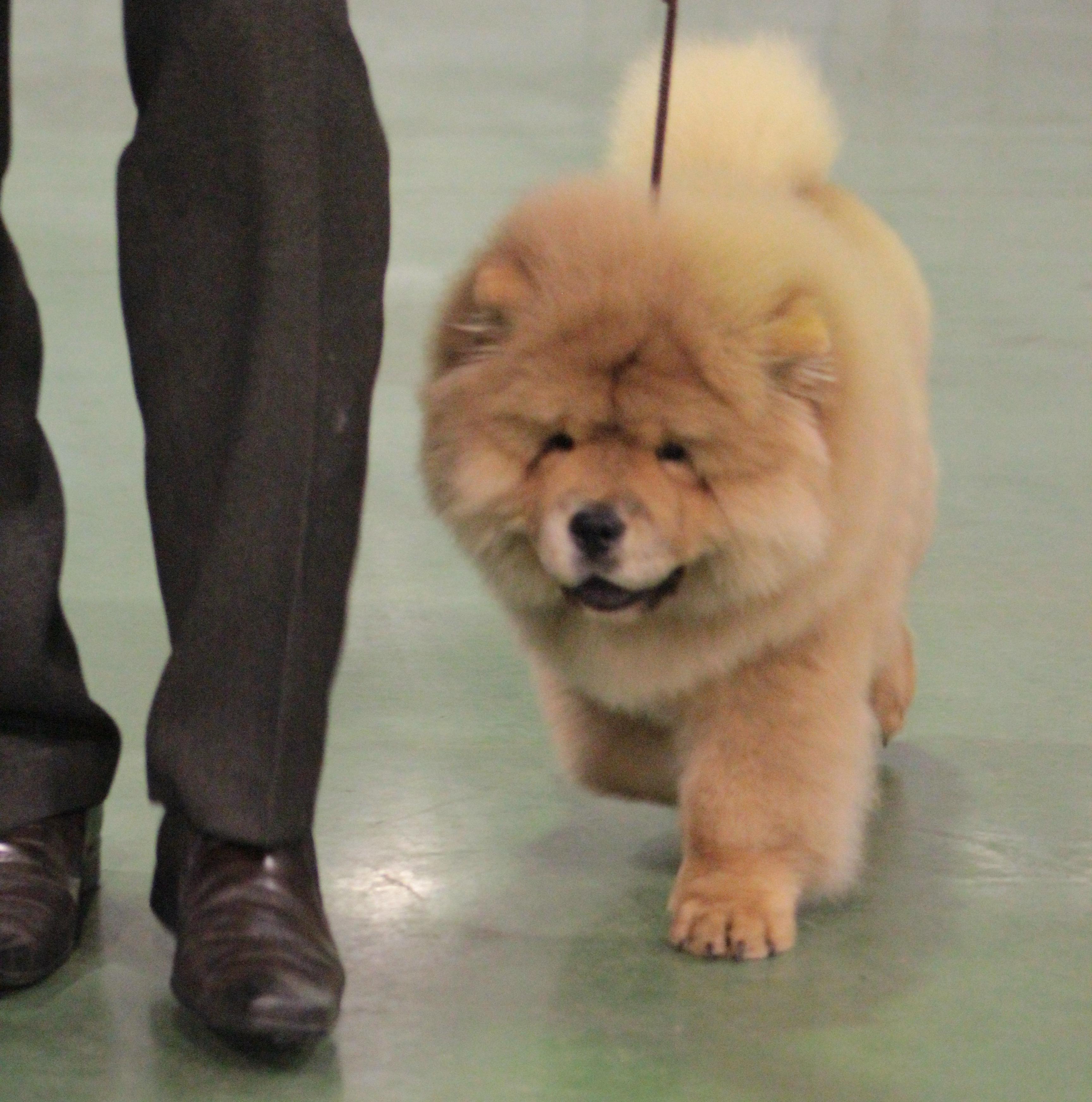 февраль 2013г. - 5 месяцев